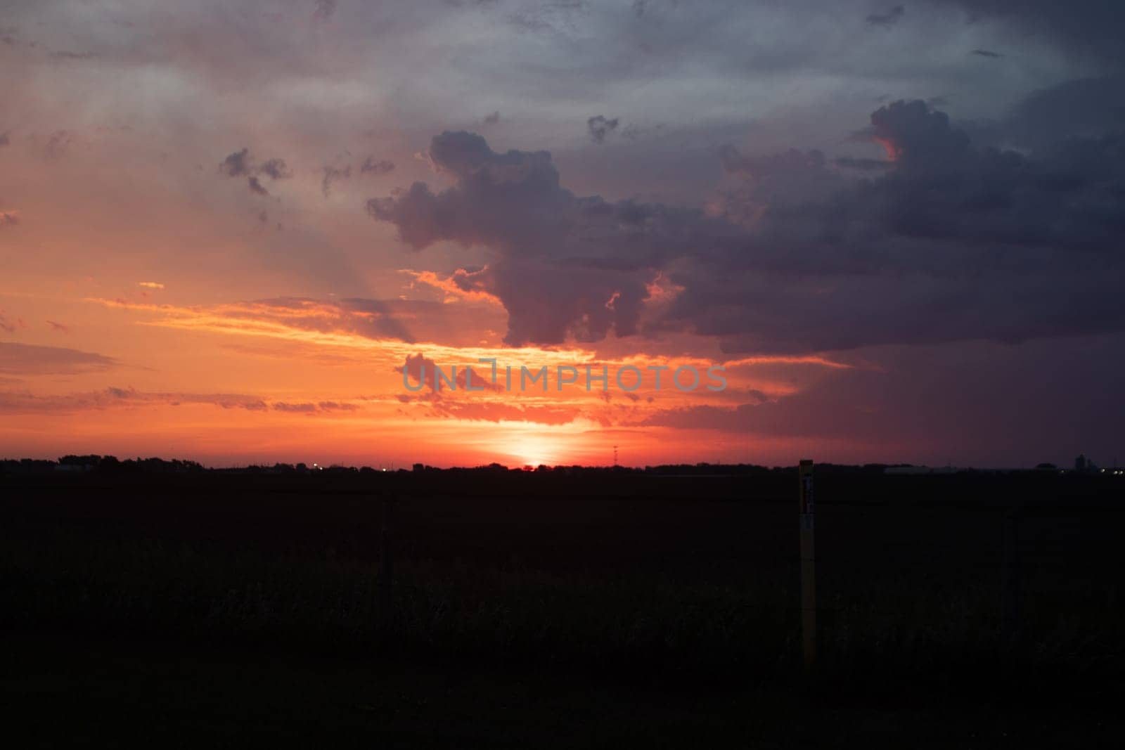 Orange sunrise sky over Nebraska corn field . High quality photo