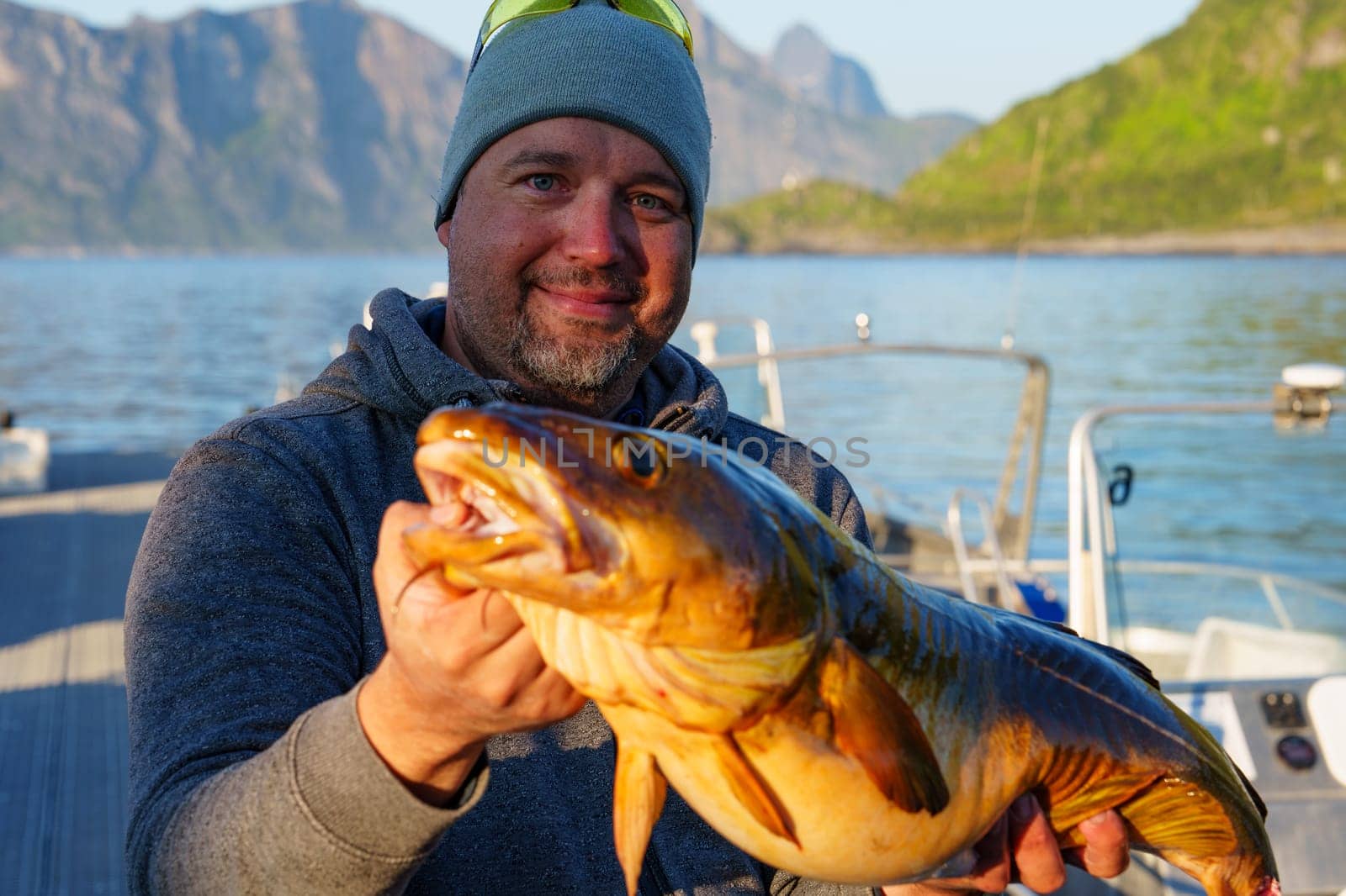 Fisherman with big cod fish. Norwegian fisherman has caught large Cod in Norwegian Fjord islands by PhotoTime