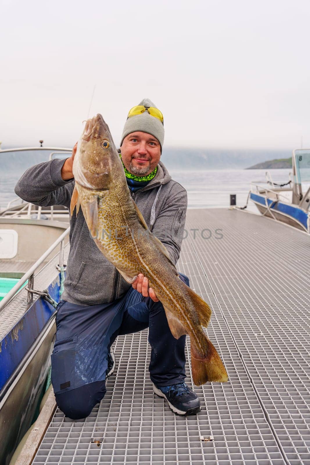Fisherman with big cod fish. Norwegian fisherman has caught large Cod in Norwegian Fjord islands by PhotoTime