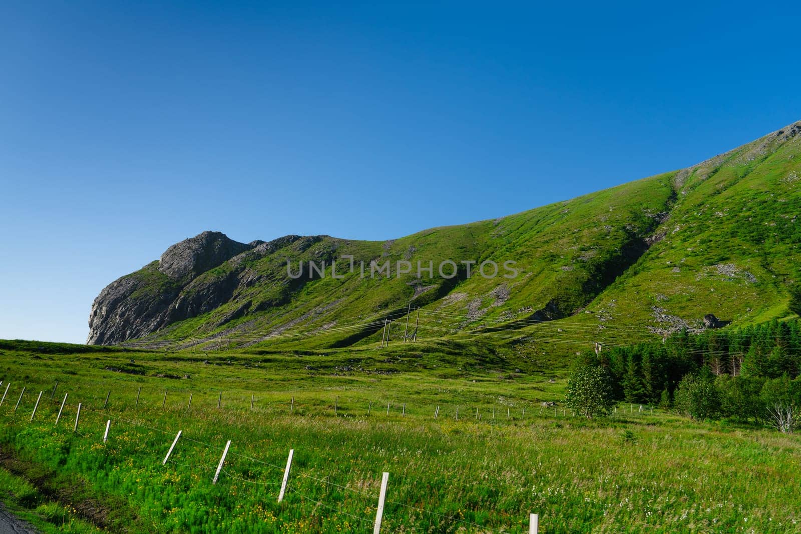 Lofoten island, Norway Summer Landscape Lofoten is known for a distinctive scenery of mountains, sea by PhotoTime