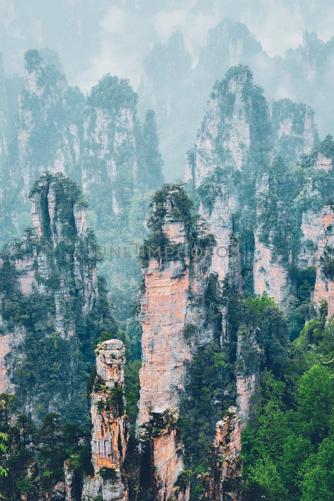 Zhangjiajie mountains, China by dimol
