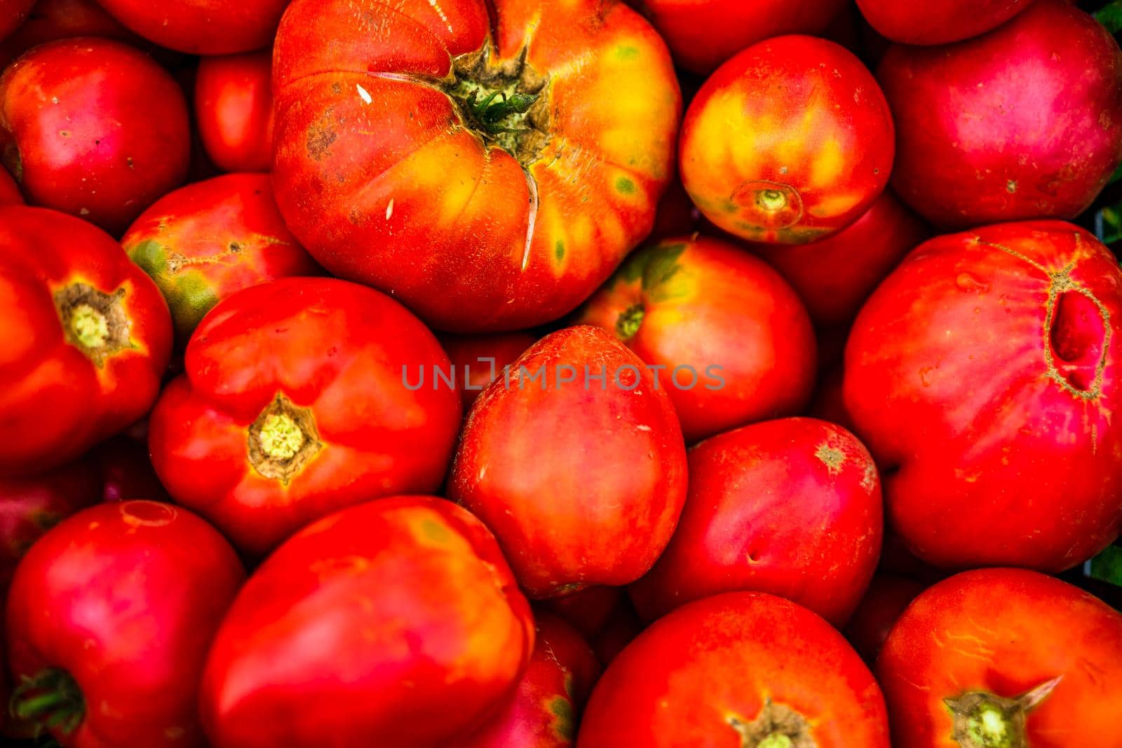 Farmers market natural ripe tomatoes. Fresh red tomato by vladispas