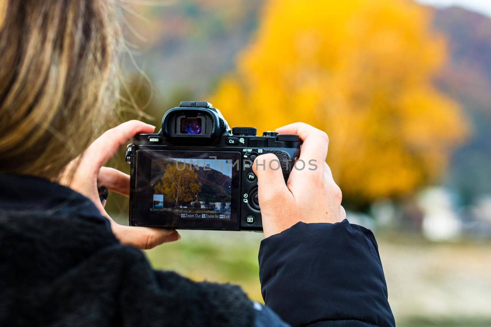 Girl taking photos of an autumn tree, autumn colors of a park in Orsova, Romania, 2020