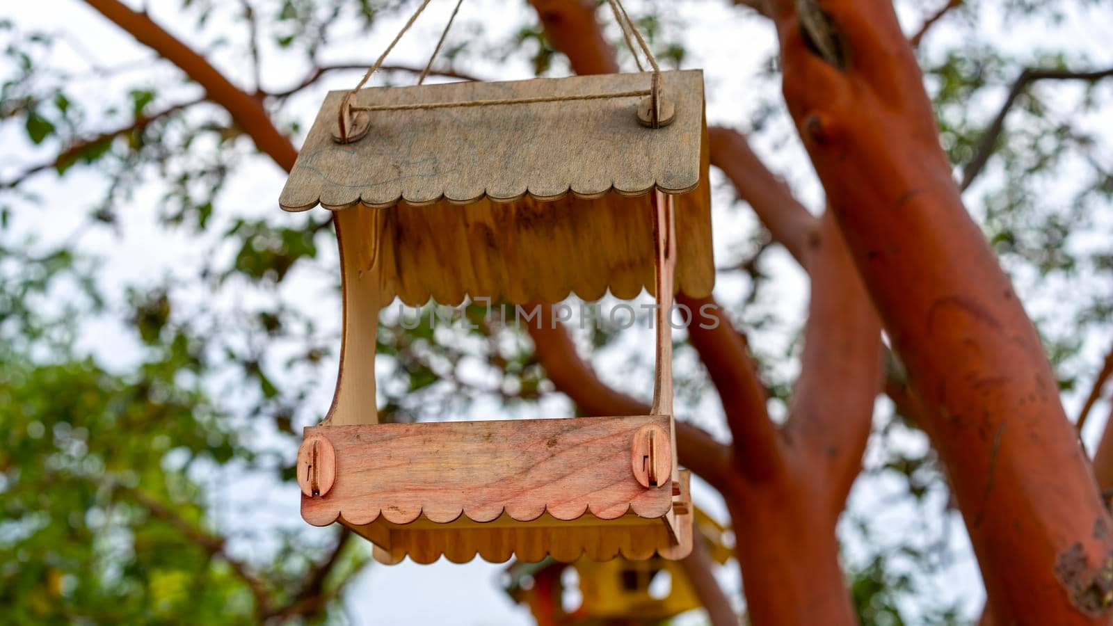 Wooden bird feeders on a blurry background of trees.