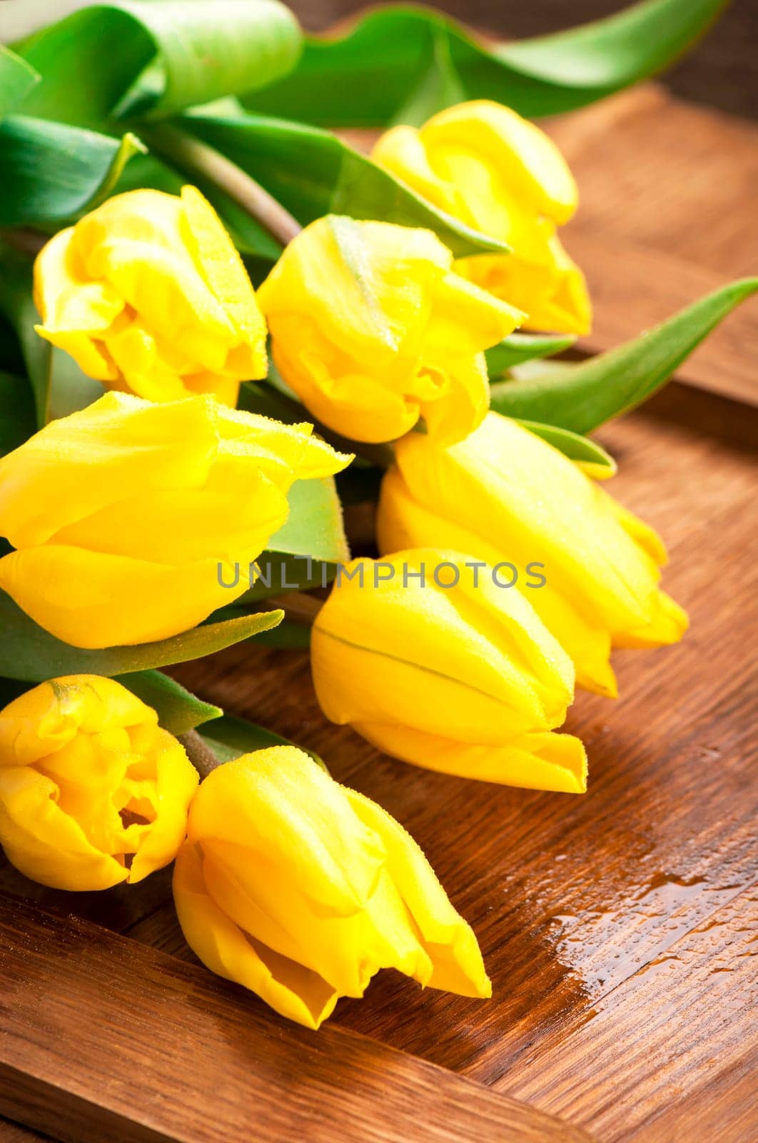 beautiful yellow tulips are located on a wooden background by aprilphoto