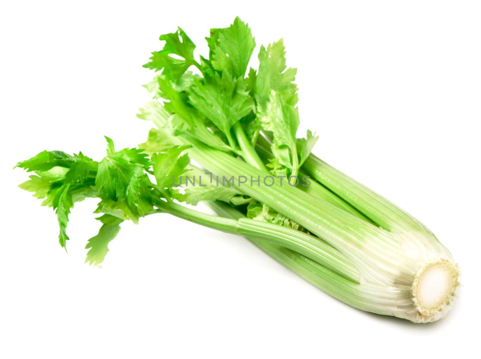 Raw green fresh leaves and stems of celery isolated on white background by aprilphoto