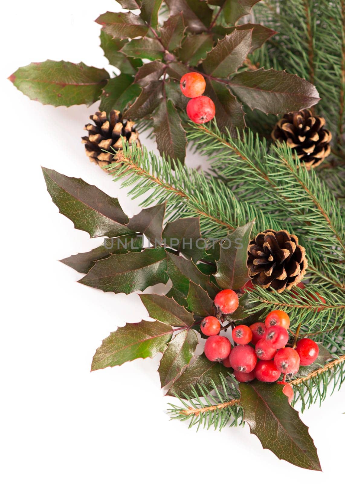 Christmas seasonal border of holly, mistletoe, sprigs with pine cones over white background