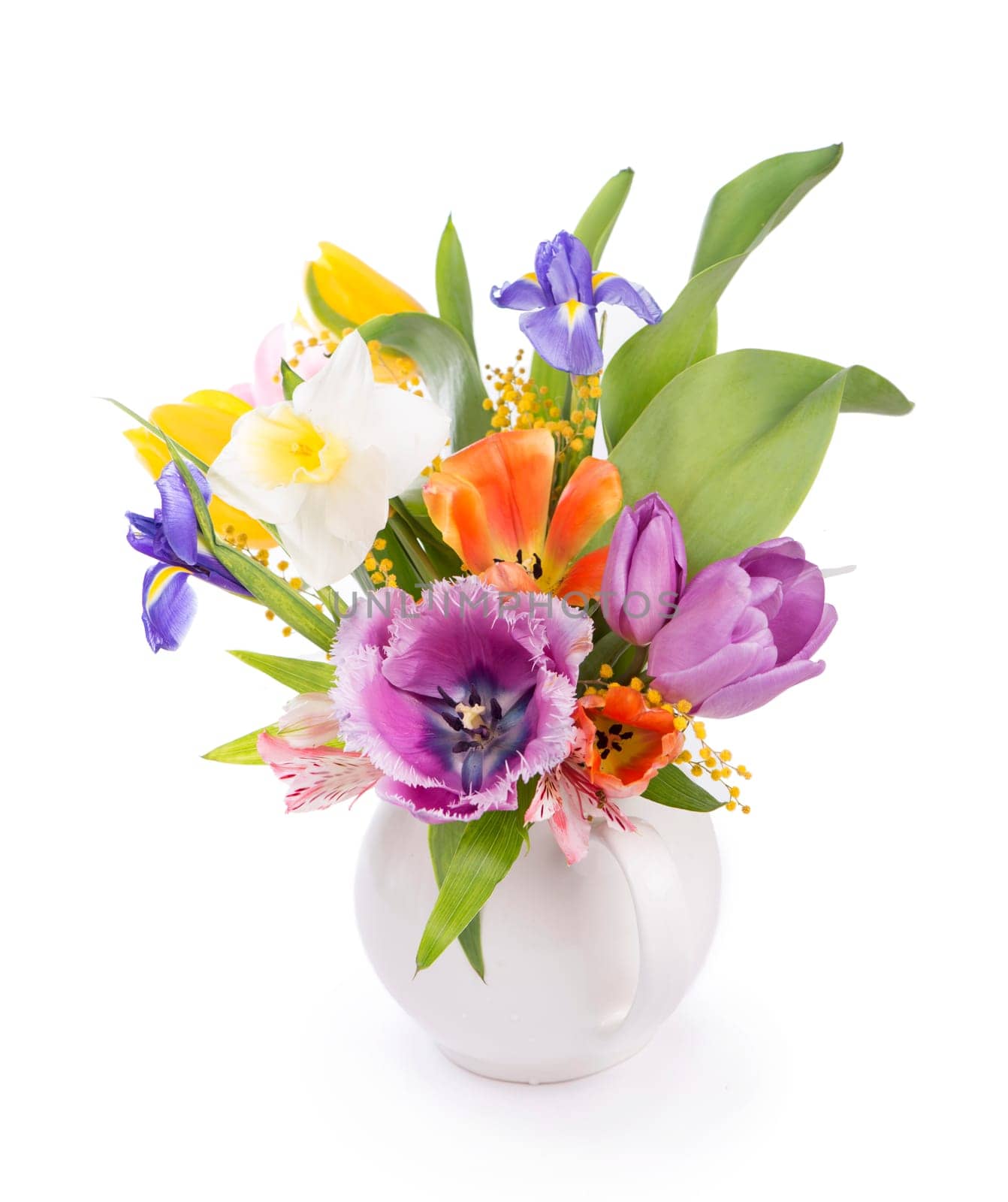 spring flowers, daffodils, tulips, hyacinths, irises and mimosa isolated on a white background by aprilphoto