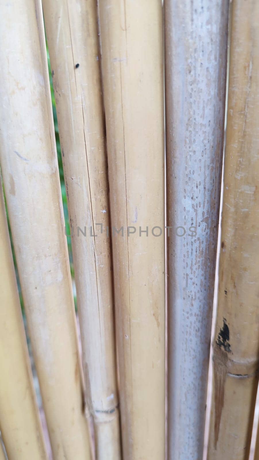 outdoor fence made of bamboo and metal, objects. High quality photo