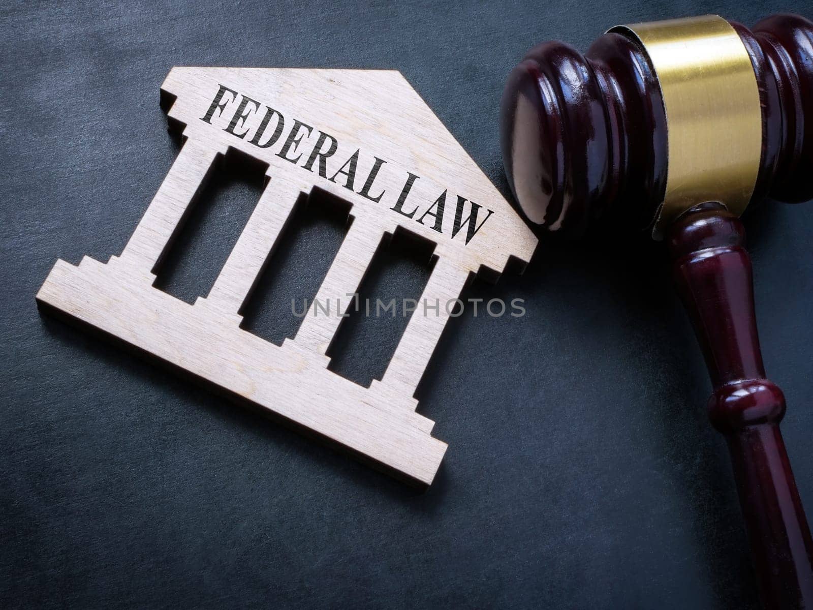 Wooden plate with Federal law words and a gavel.