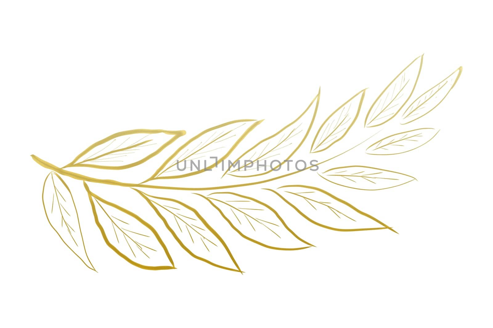 leaf line art golden hand drawn line art on white background isolate