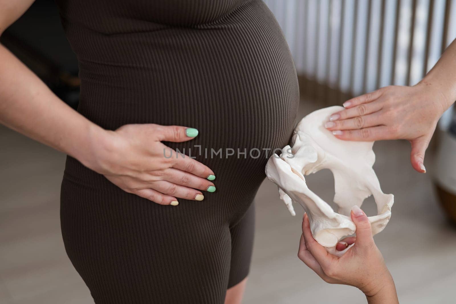 Doula explains the process of childbirth on a sample of the pelvis of a pregnant woman. by mrwed54