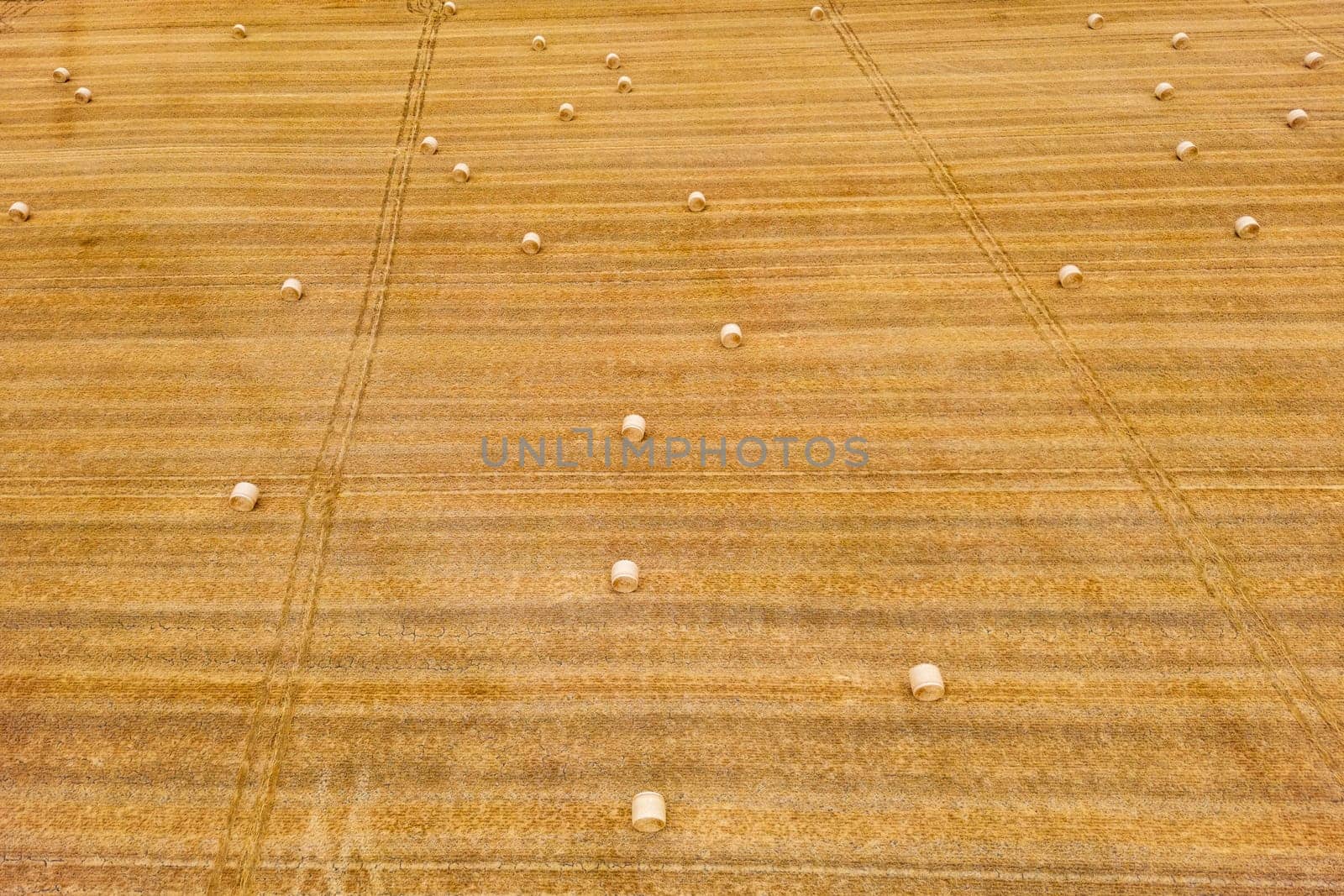 Aerial view of many straw bales on an agricultural field in dry summer, Germany