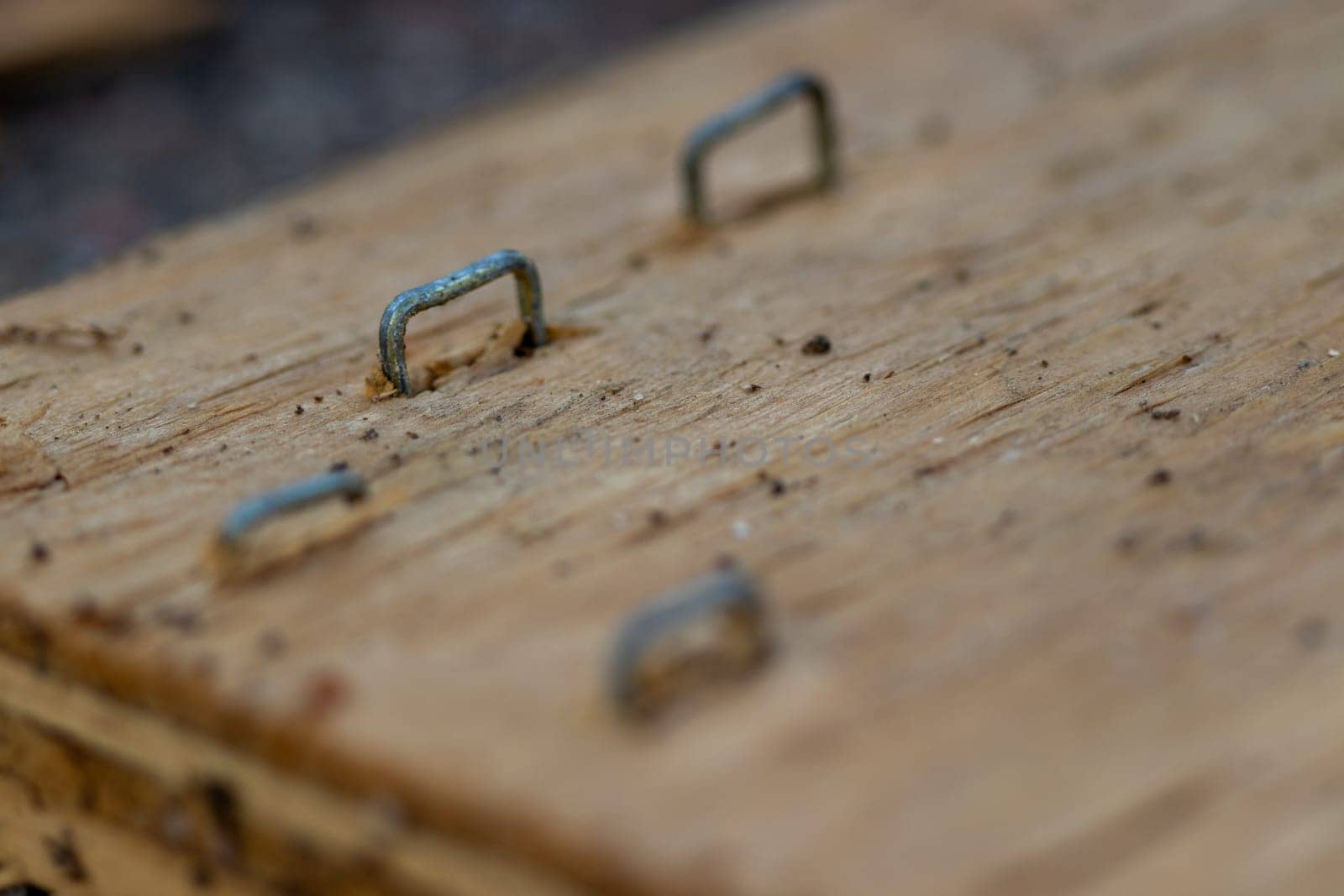 Background old wood with three staples in it . High quality photo