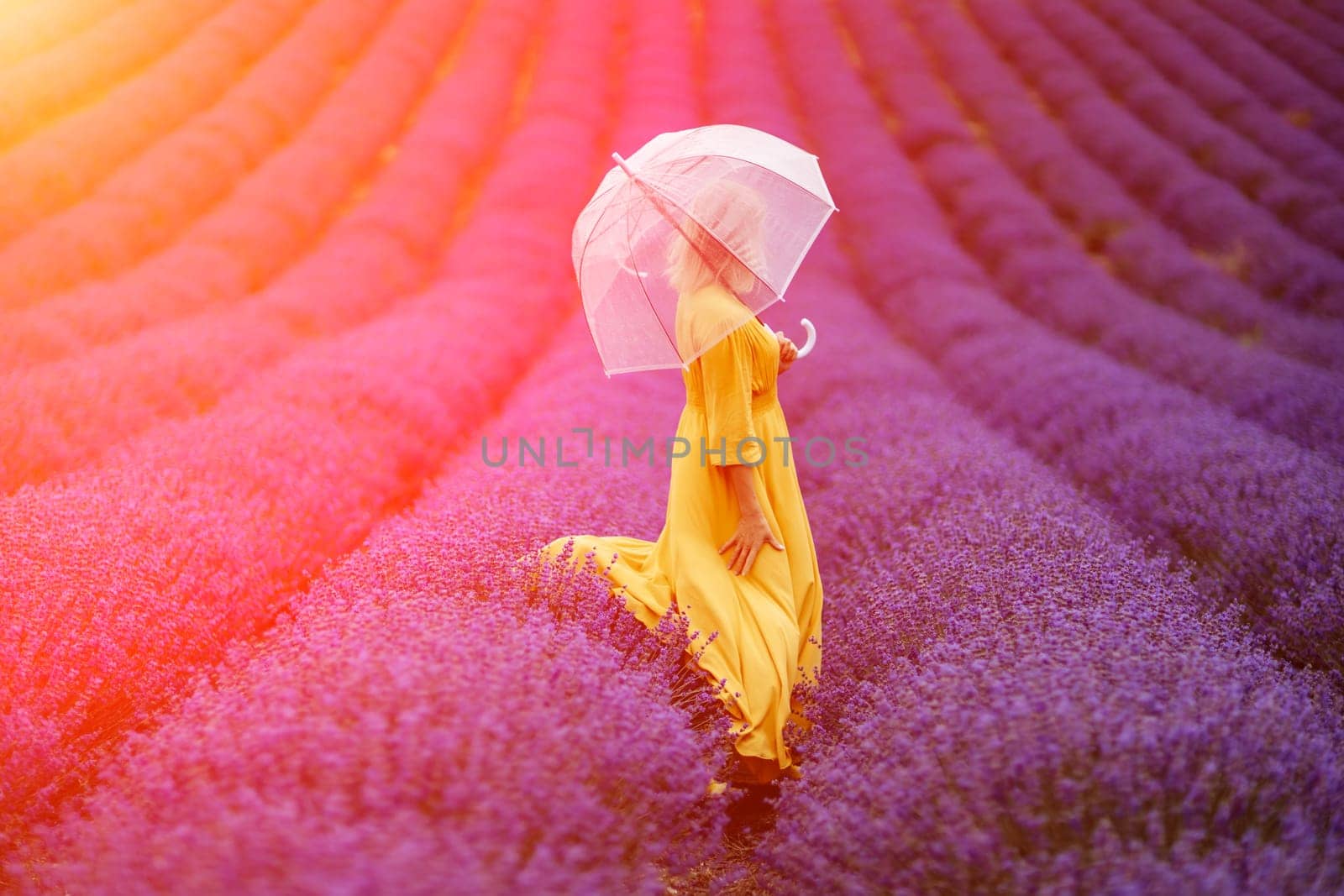 Woman lavender field. A middle-aged woman in a lavender field walks under an umbrella on a rainy day and enjoys aromatherapy. Aromatherapy concept, lavender oil, photo session in lavender by Matiunina