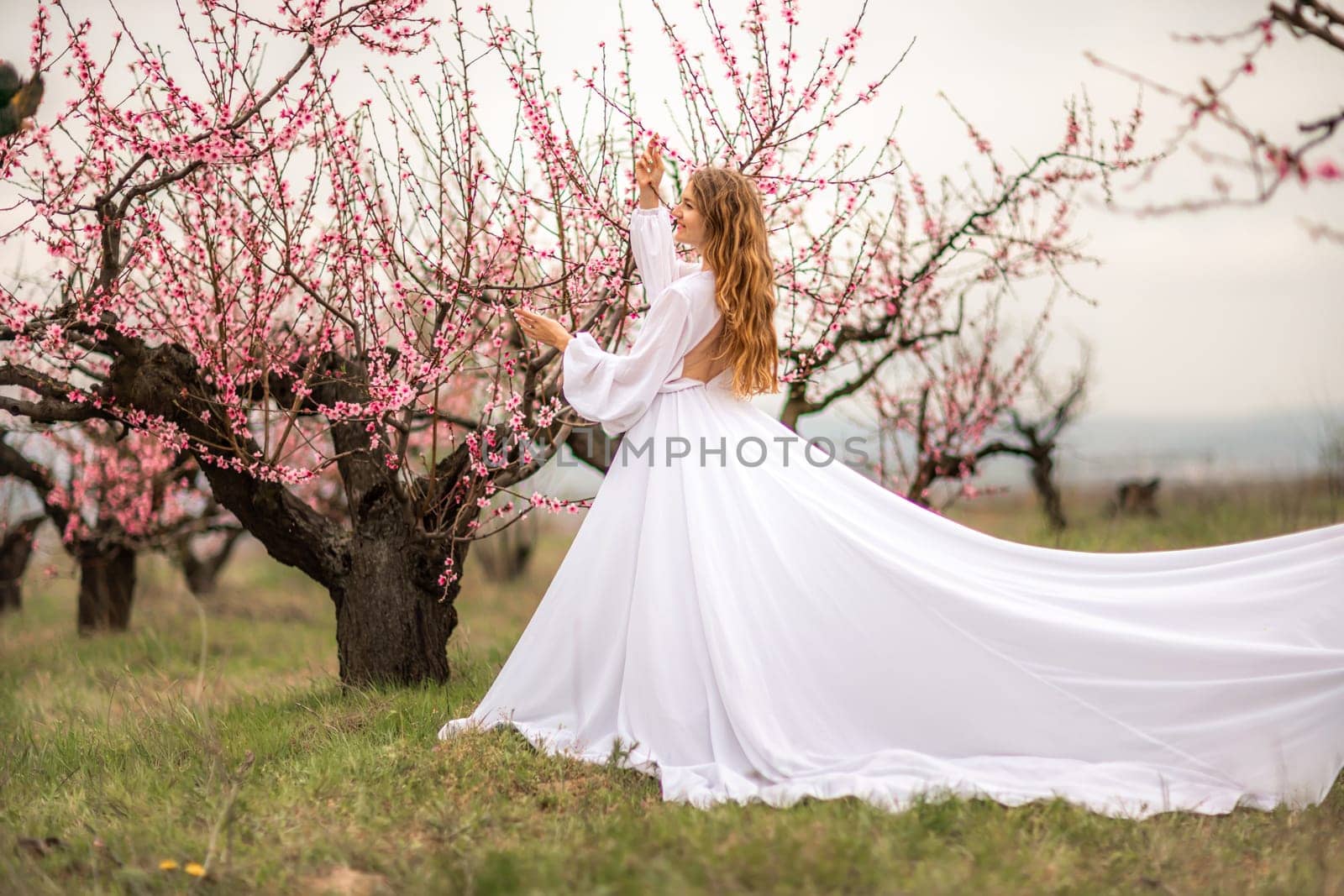 Woman peach blossom. Happy curly woman in white dress walking in the garden of blossoming peach trees in spring by Matiunina