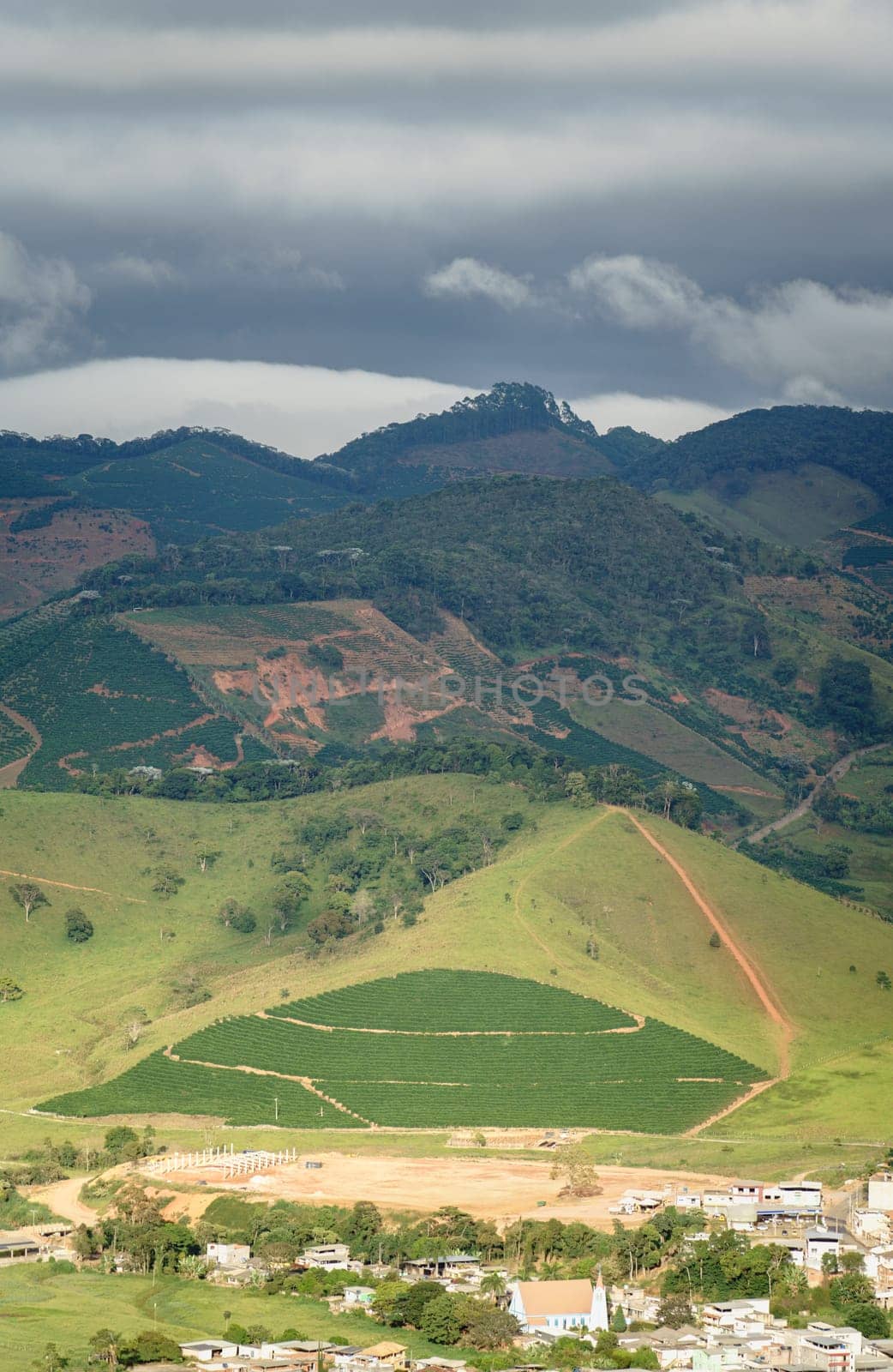 Spectacular Coffee Mountains Landscape in a Blossoming Valley by FerradalFCG