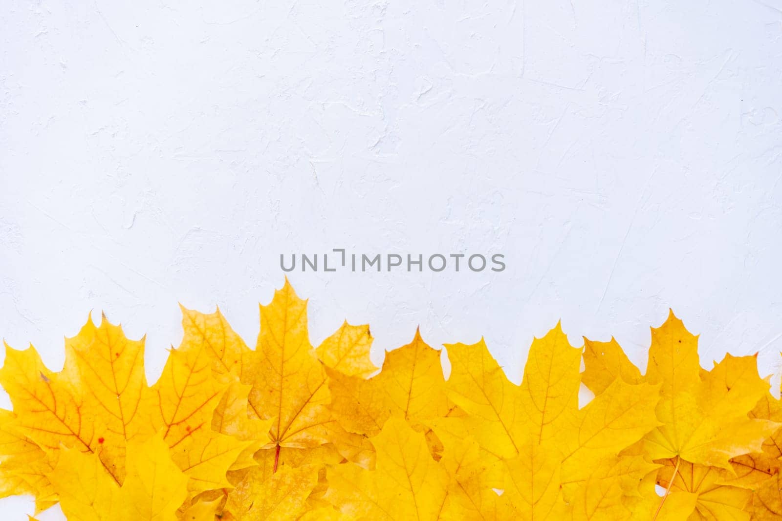 Autumn leaves frame on down side white structured background top view Fall Border yellow and Orange Leaves vintage background table Copy space. Mock up for your design. Display for product or text