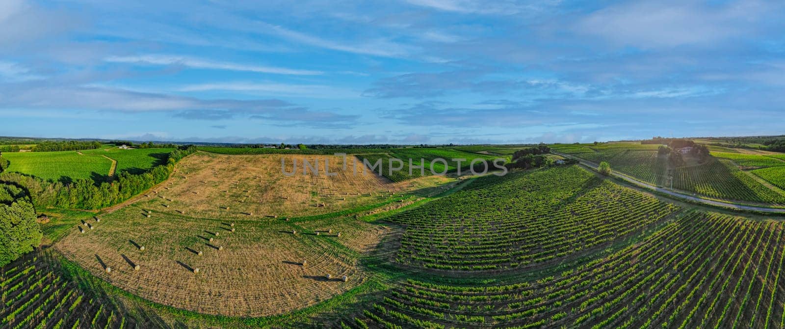 Aerial view Bordeaux Vineyard and forage fields with bales of hay in summer at sunrise, film by drone in summer, Entre deux mers, High quality photo