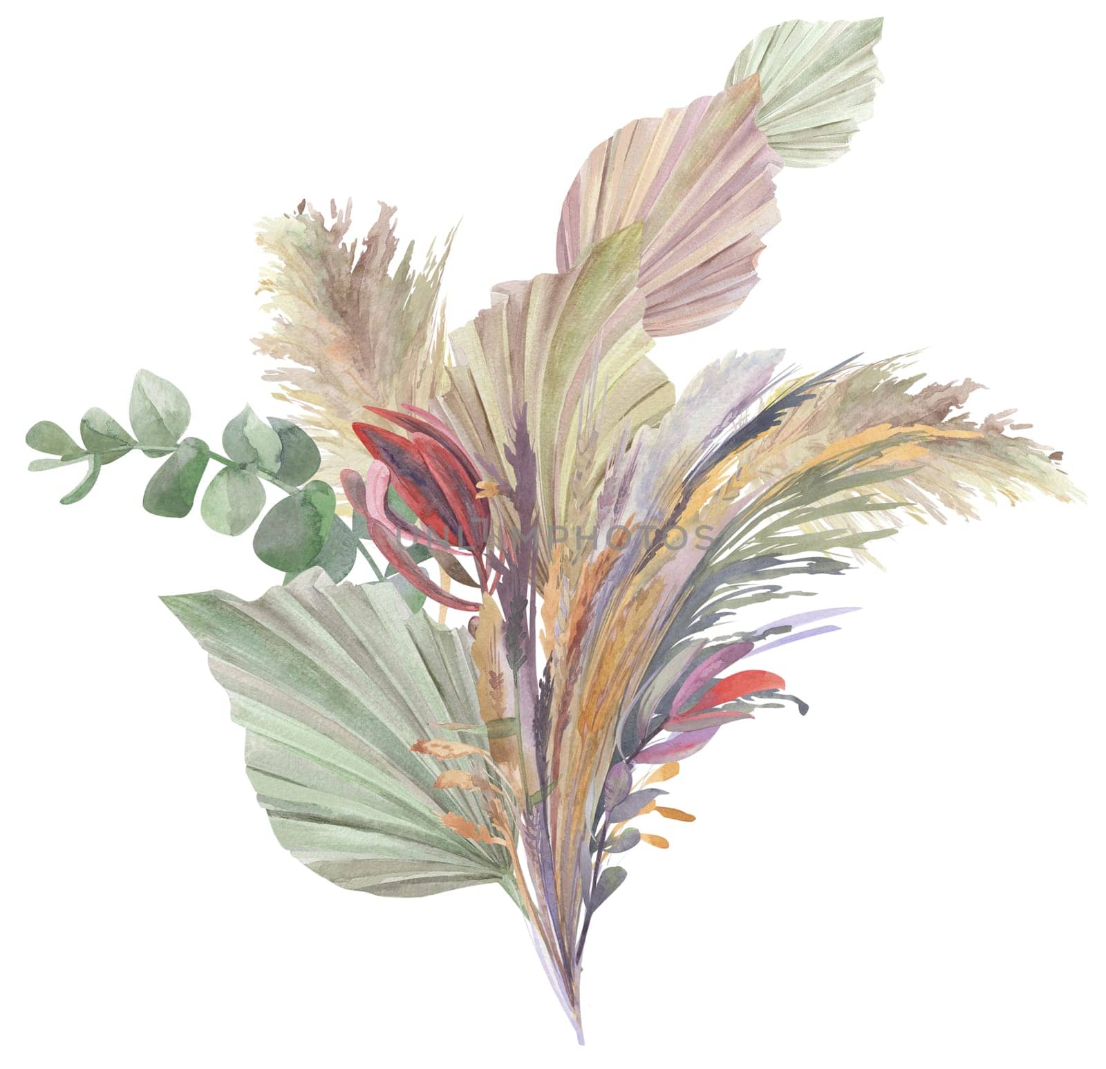Bouquet of tropical dried flowers with palm branches painted in watercolor for postcards and design in boho style isolated on white background