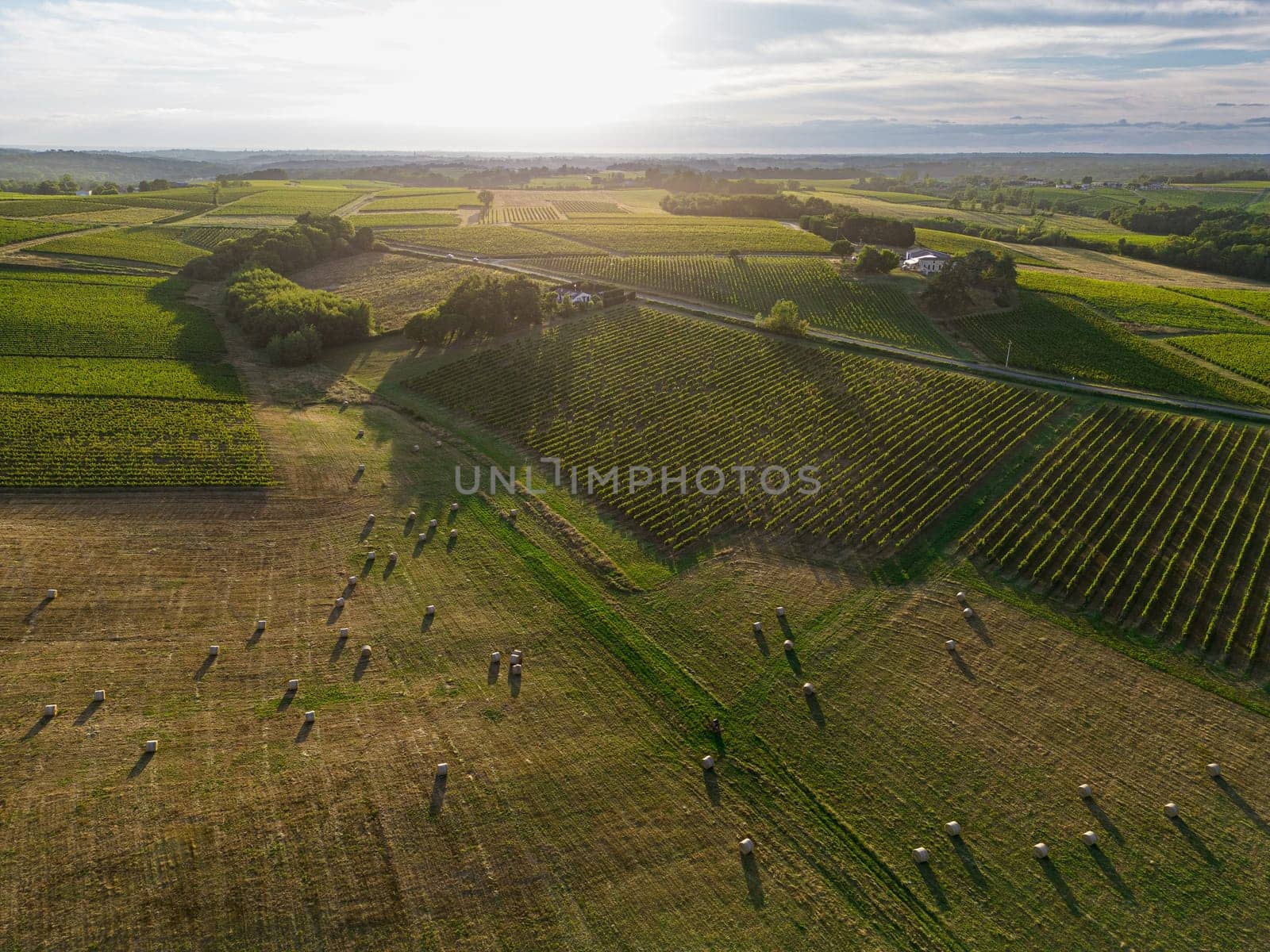 Aerial view Bordeaux Vineyard and forage fields with bales of hay in summer at sunrise, film by drone in summer, Entre deux mers, High quality photo