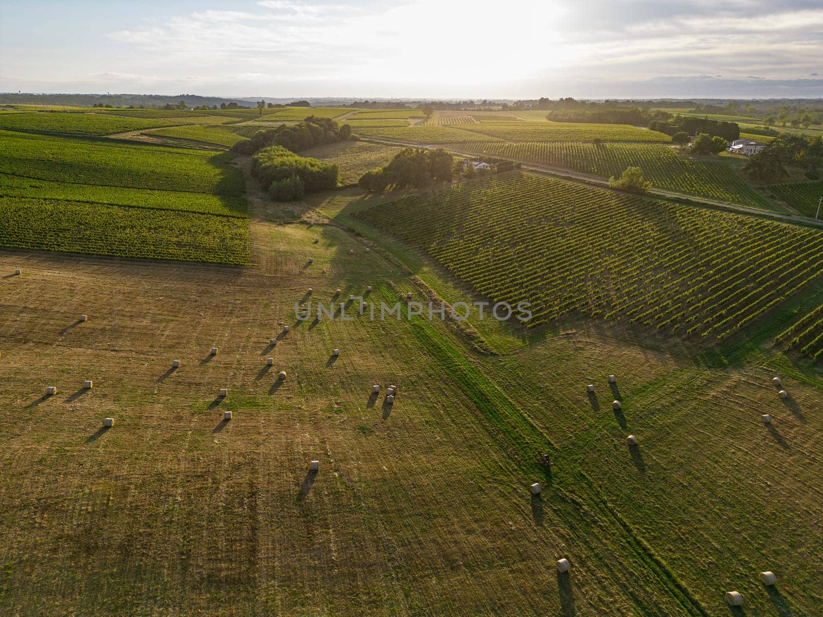 Aerial view Bordeaux Vineyard and forage fields with bales of hay in summer at sunrise, film by drone in summer, Entre deux mers, High quality photo