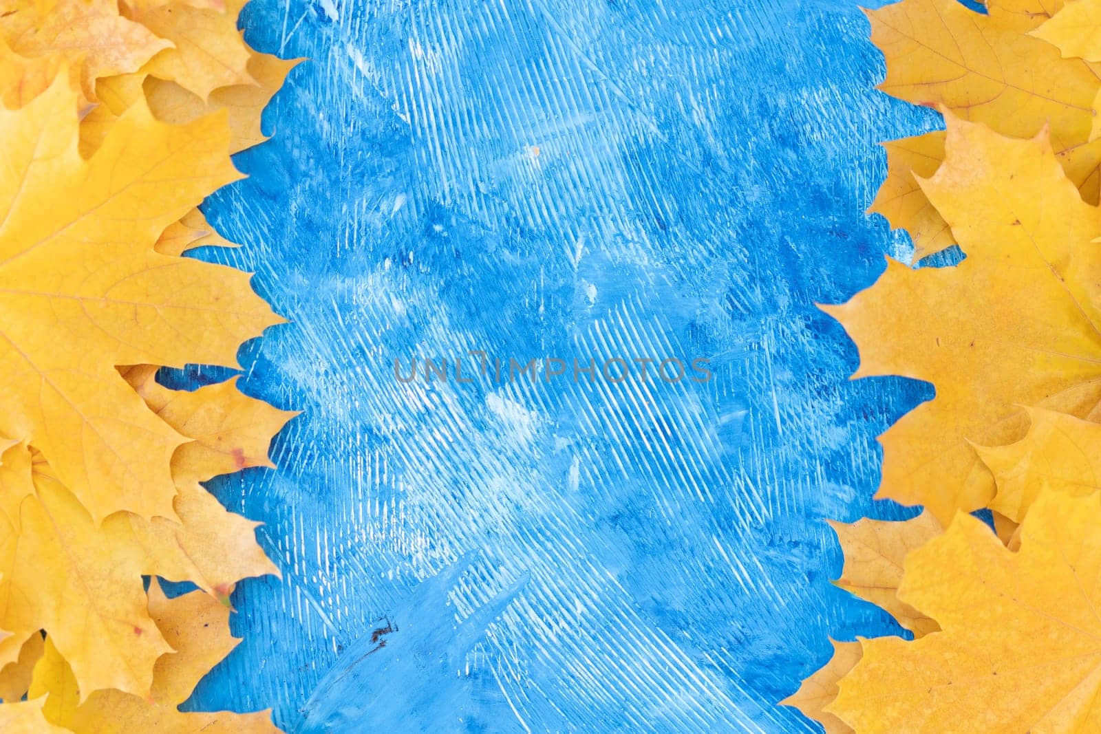 Autumn leaves frame left right side blue structured background top view Fall Border yellow and Orange Leaves vintage background table Copy space. Mock up for your design. Display for product or text