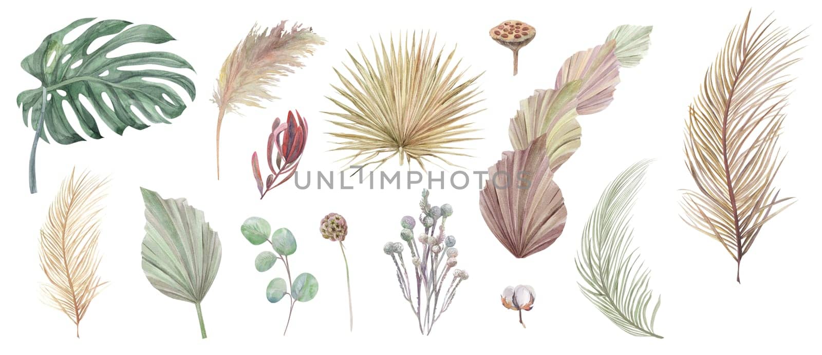 Watercolor collection of palm branches and dried flowers to create bouquets isolated on white background for greeting wedding cards in boho style different design