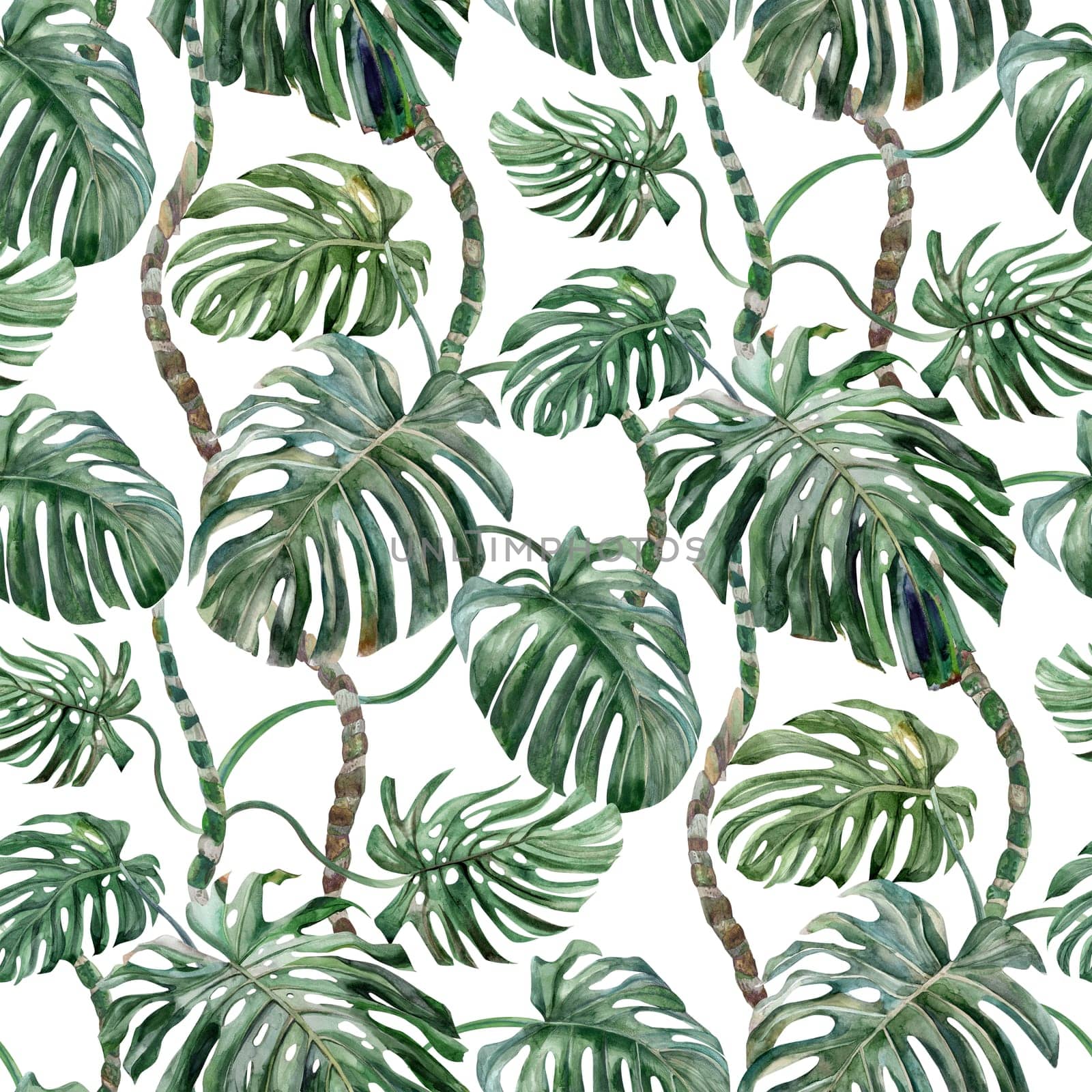 Seamless pattern with Monstera flower painted in watercolor by MarinaVoyush
