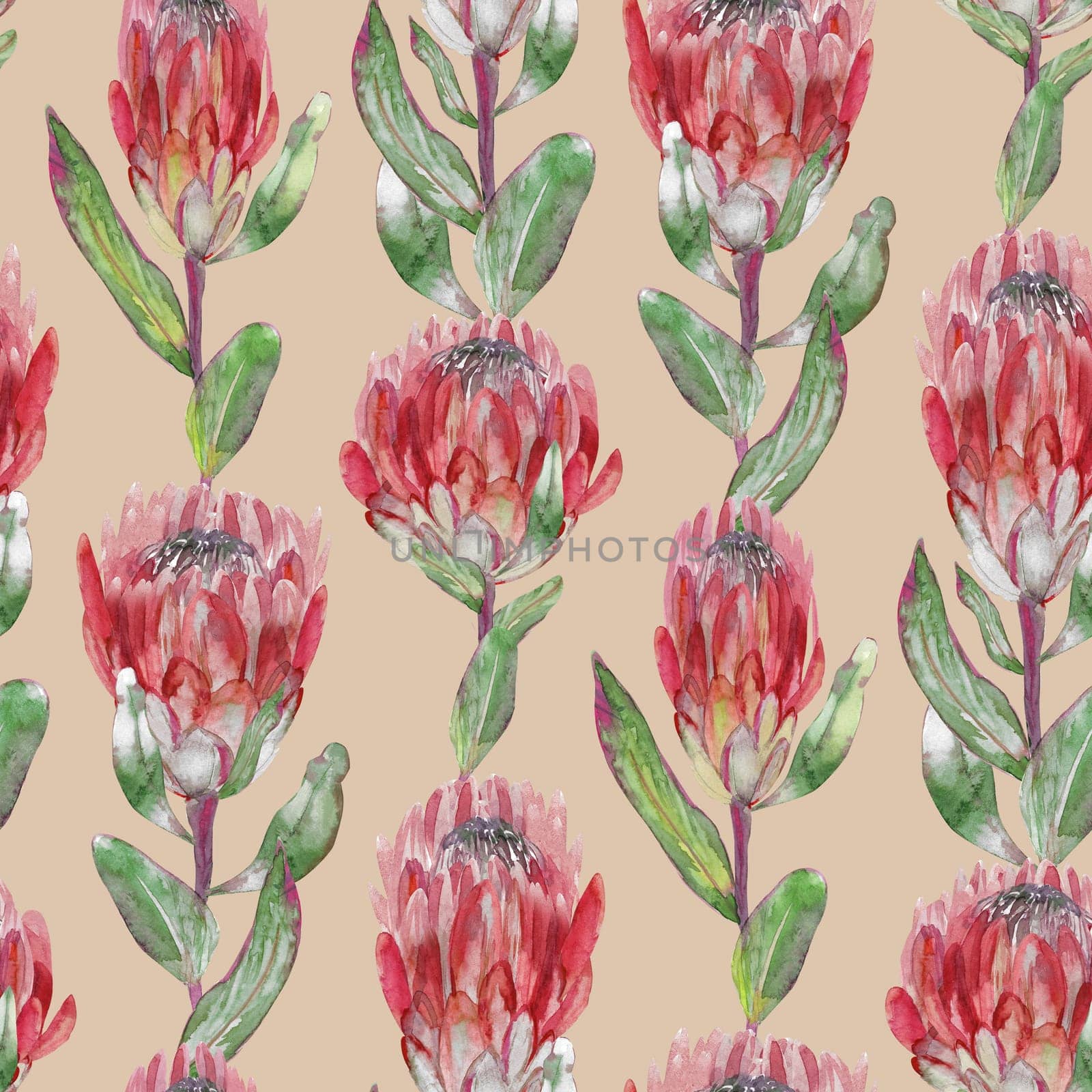 Seamless pattern with vertical protea flowers painted in watercolor on a beige background for summer textiles and wall design