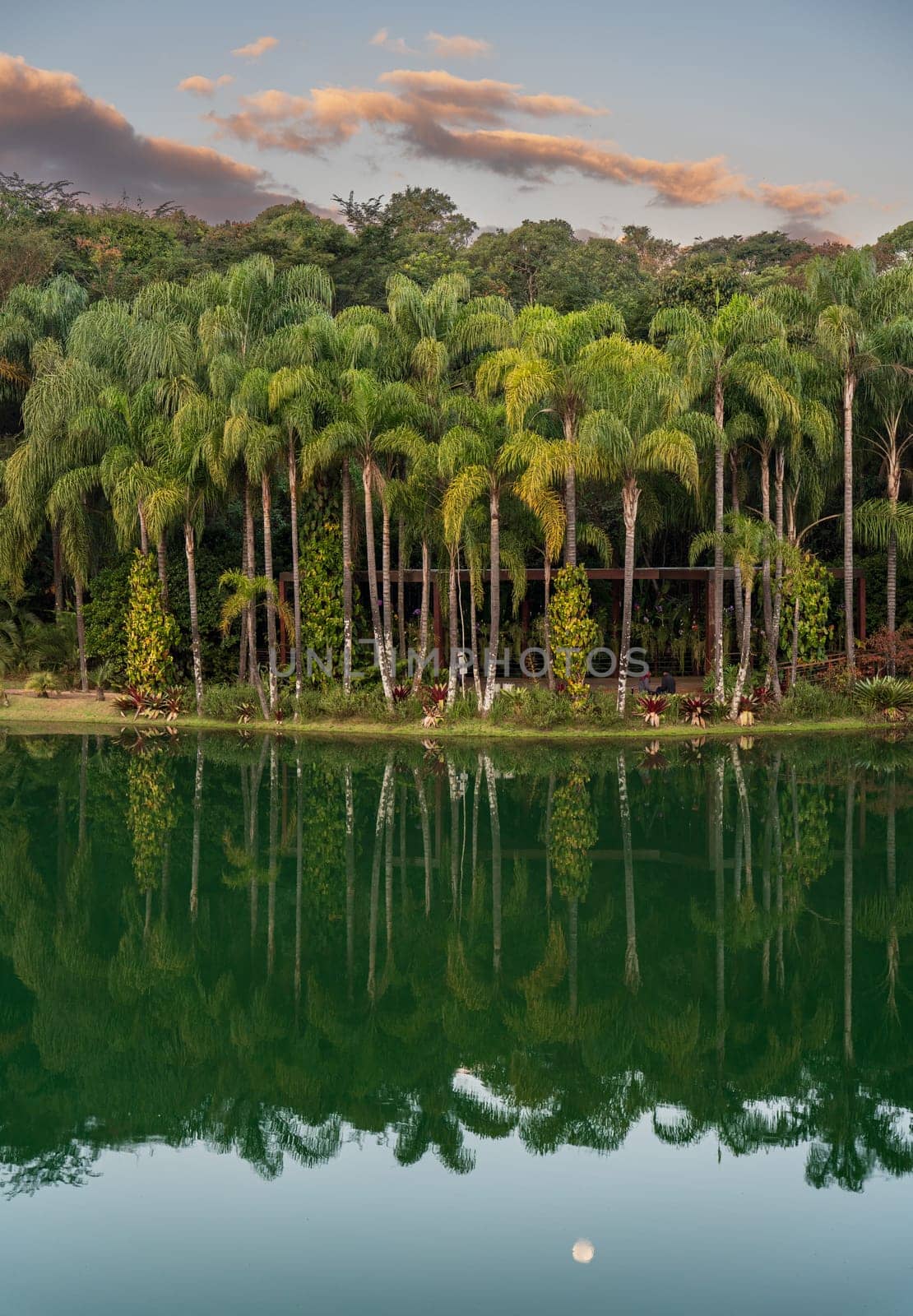 Romantic couple enjoys an evening outdoors under palm trees by a serene, moonlit lake. Ideal for text overlay.