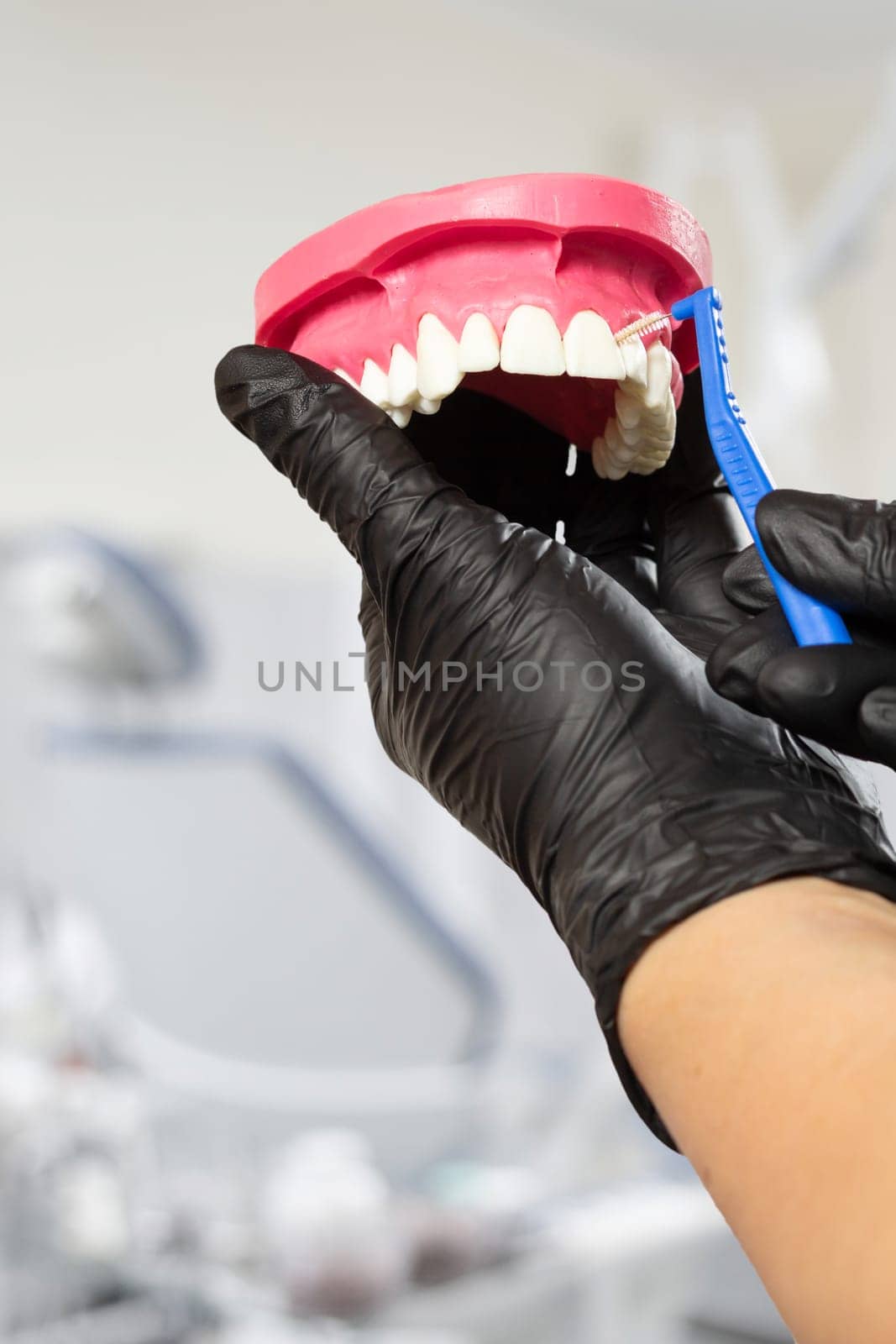 Close-up view of the hand with a human jaw layout and a interdental toothpick brush. Dental office on the background.