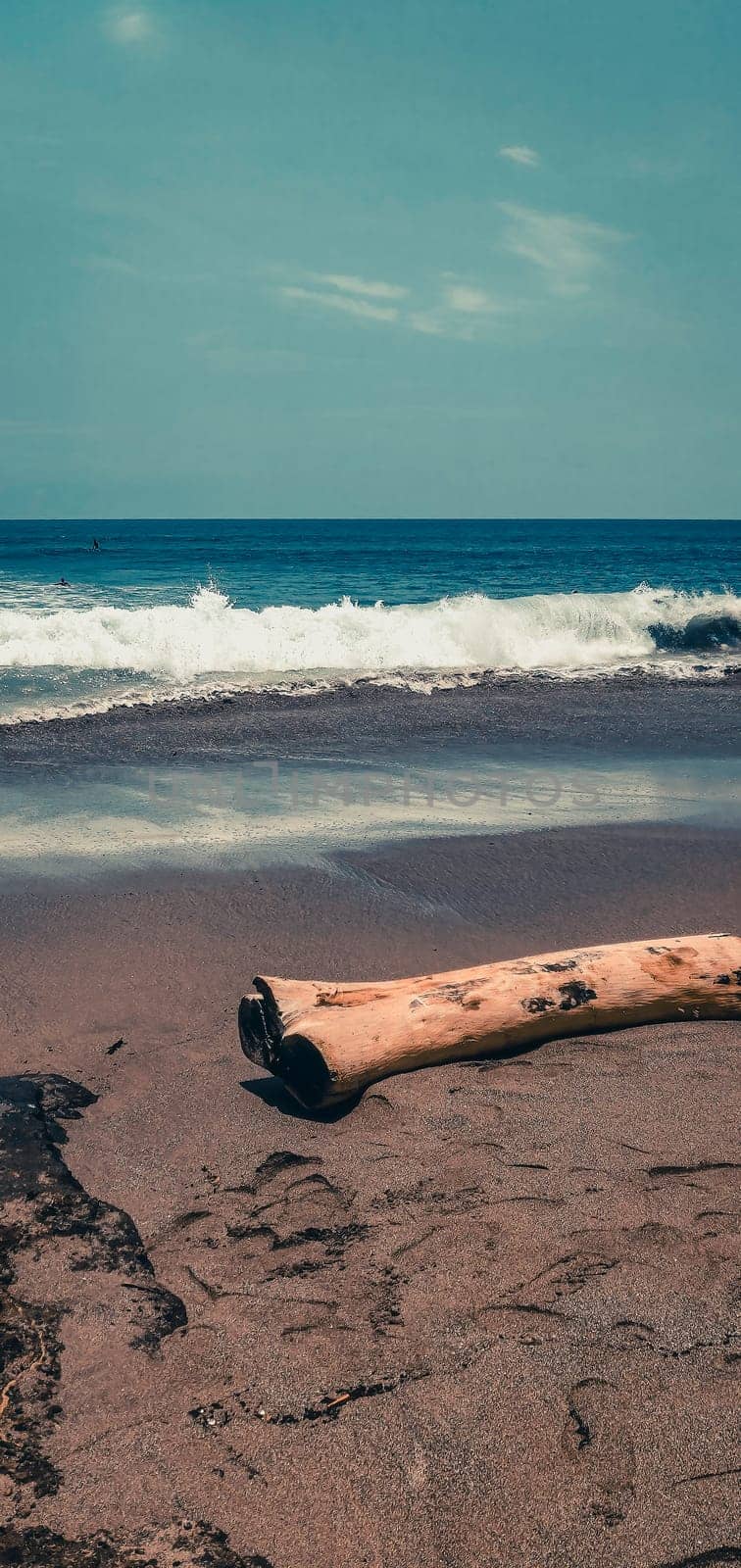 A log on Canguu Beach in Bali with Blue Waves- Outdoor Shot by apurvice123