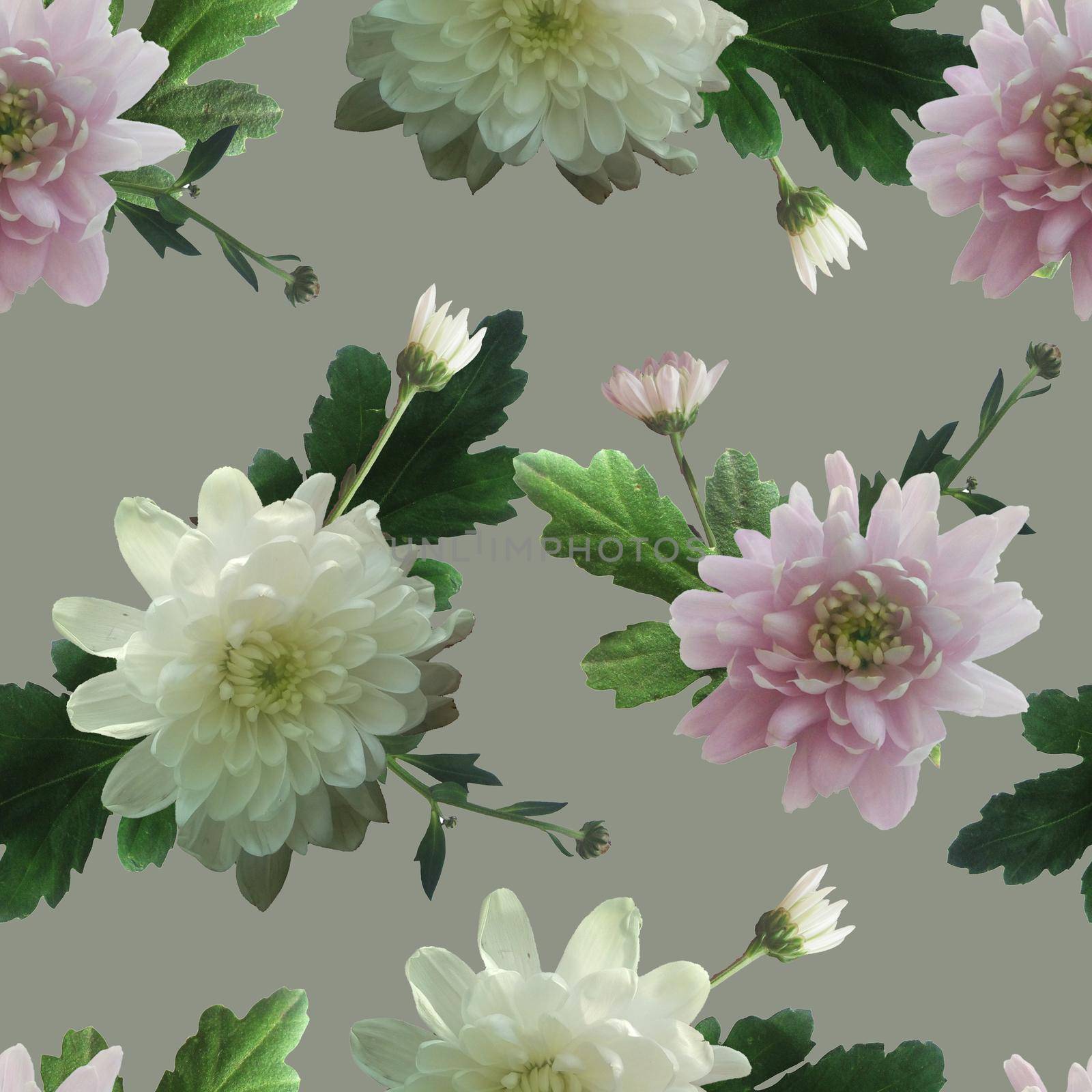 Photo and Digital Seamless Pattern with Nature Chrysanthemums Flowers. by Rina_Dozornaya