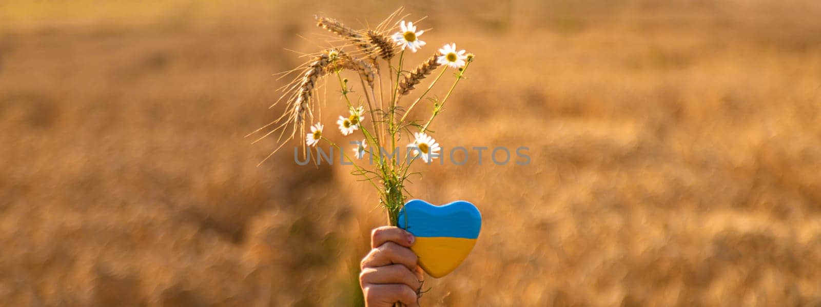 Child in a field of wheat with the flag of Ukraine. Selective focus. Nature.