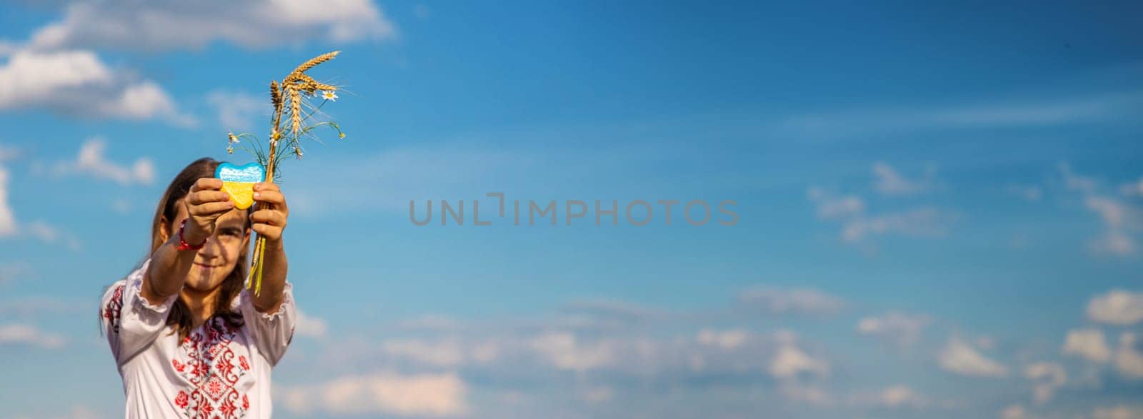 Child in a field of wheat with the flag of Ukraine. Selective focus. by yanadjana