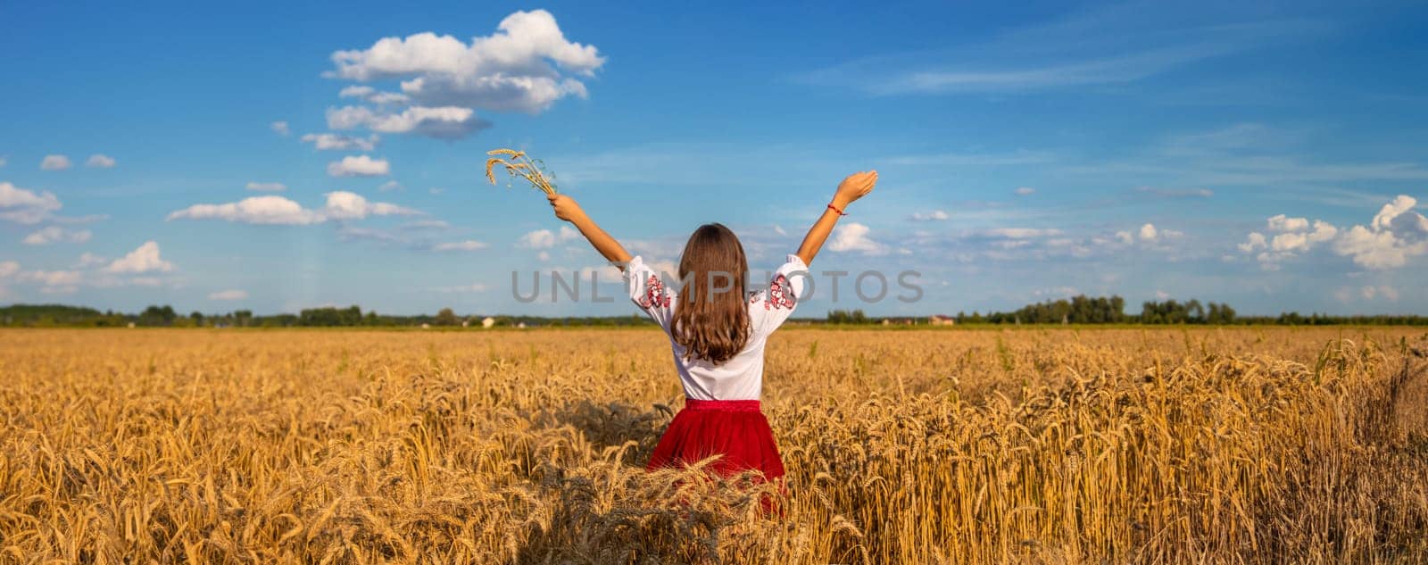 Ukrainian child in vyshyvanka in wheat field. Selective focus. Nature.