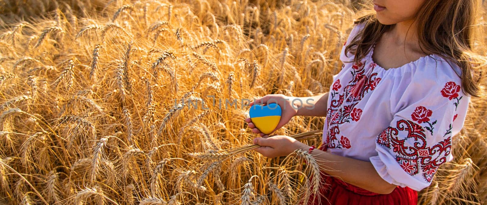 Child in a field of wheat with the flag of Ukraine. Selective focus. Nature.