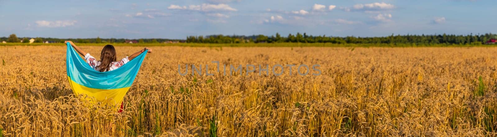 Child in a field of wheat with the flag of Ukraine. Selective focus. Kid.