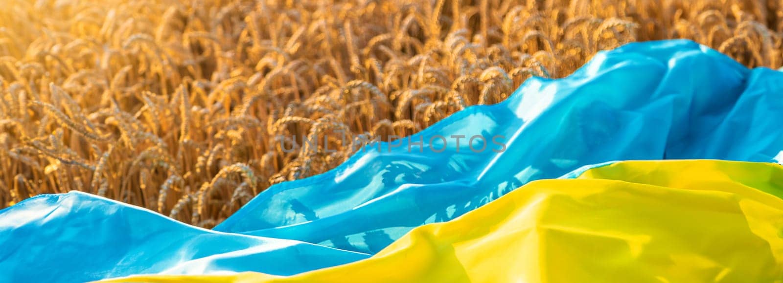 Flag of Ukraine in a wheat field. Selective focus. by yanadjana