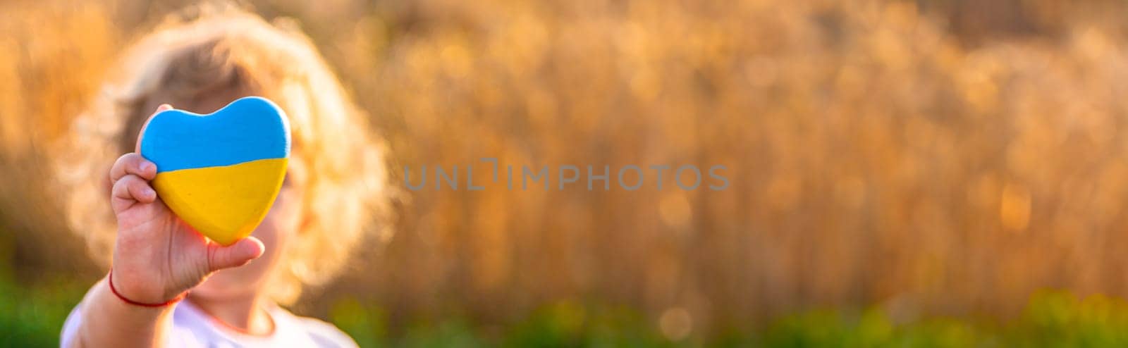 Child in a field of wheat with the flag of Ukraine. Selective focus. Nature.