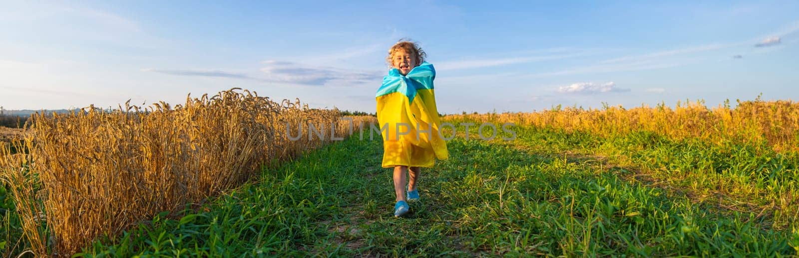 Child in a field of wheat with the flag of Ukraine. Selective focus. Kid.