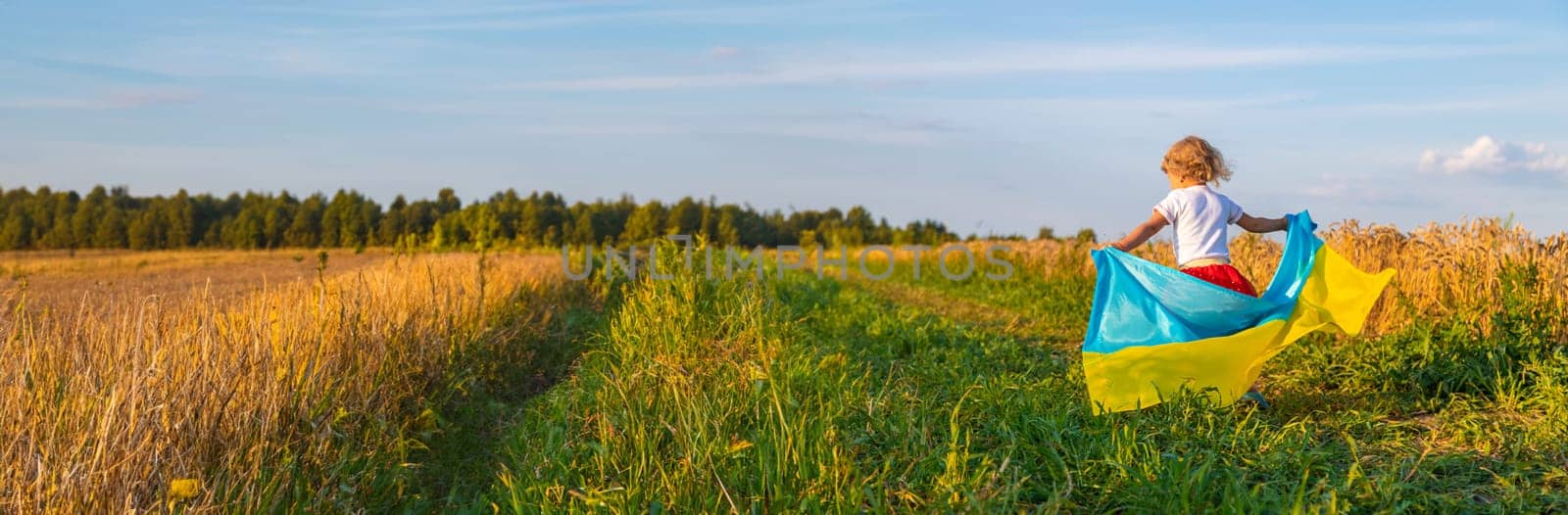 Child in a field of wheat with the flag of Ukraine. Selective focus. by yanadjana