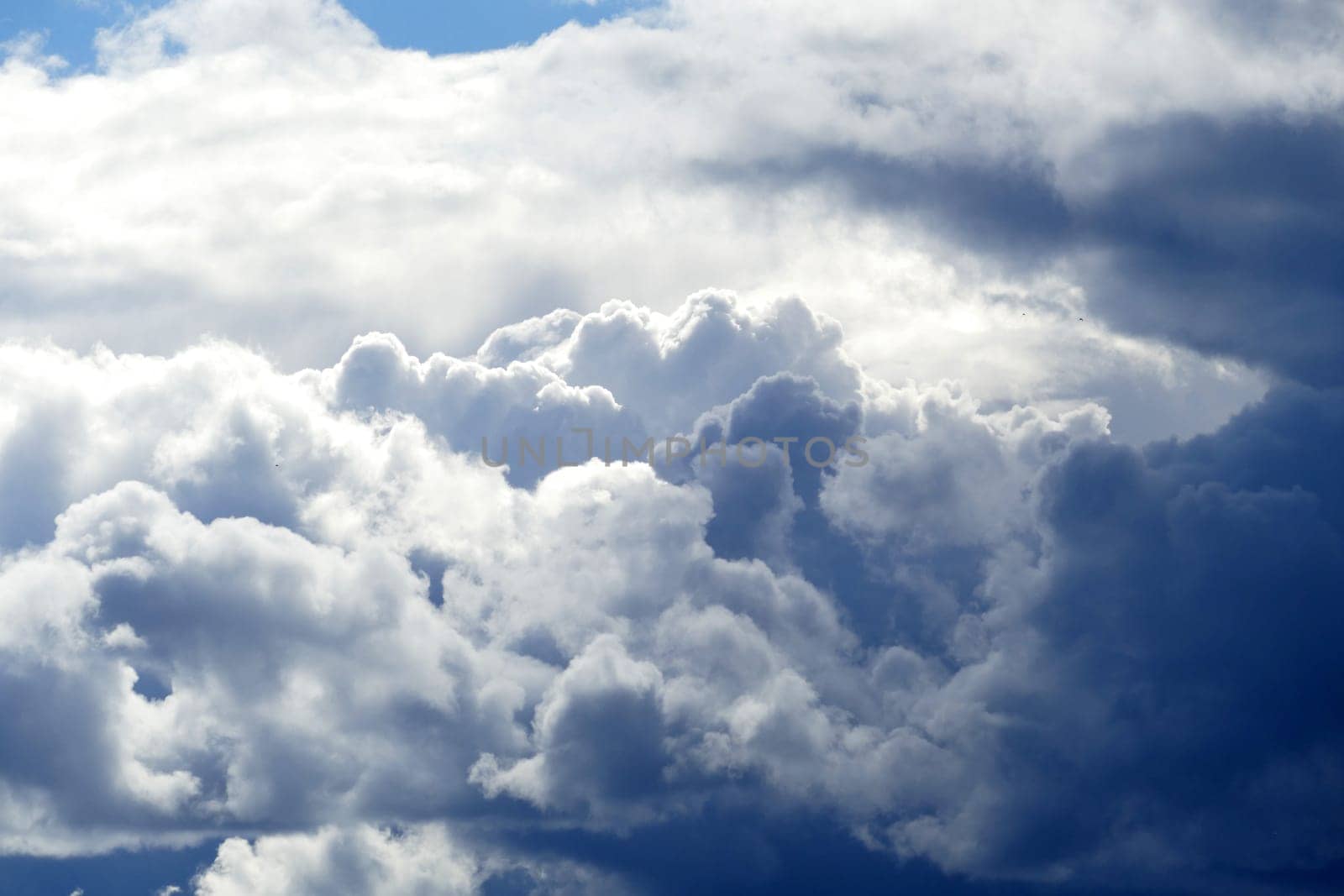 close-up dark clouds,storm clouds moving,stormy rain clouds, by nhatipoglu