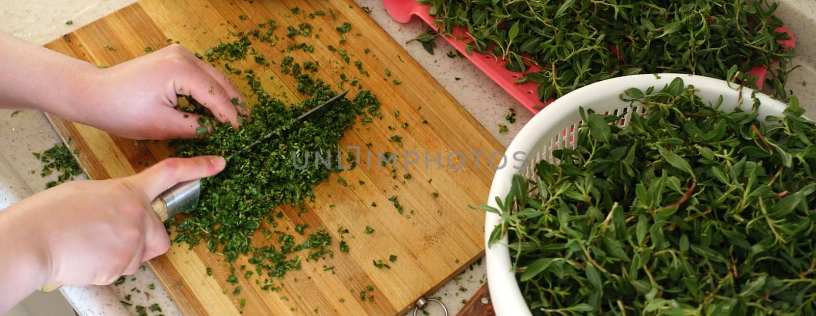 In Turkey, chopping madımak grass from herbal food, Madımak grass for yozgat madımak dish, by nhatipoglu