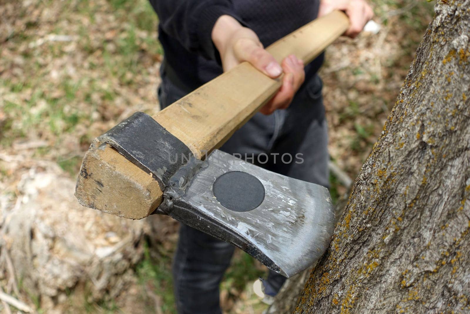 felling trees with an ax, tree slaughter, cutting trees without permission, trees and axes, by nhatipoglu