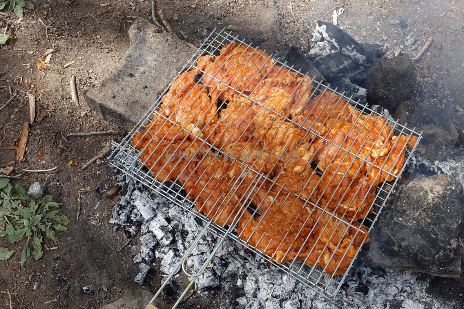 enjoying the barbecue at the picnic, chicken cutlet cooked on the barbecue,