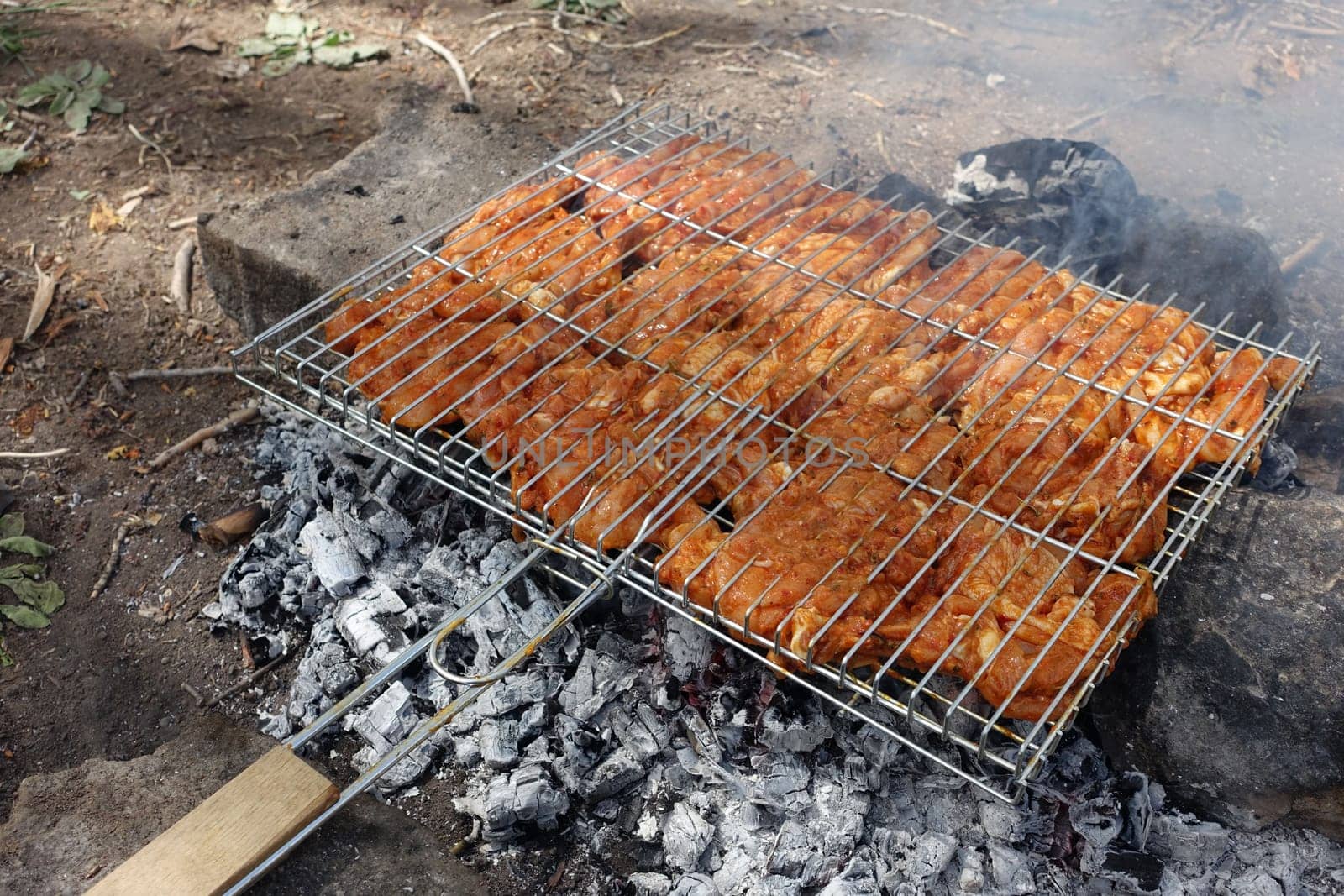 enjoying the barbecue at the picnic, chicken cutlet cooked on the barbecue,