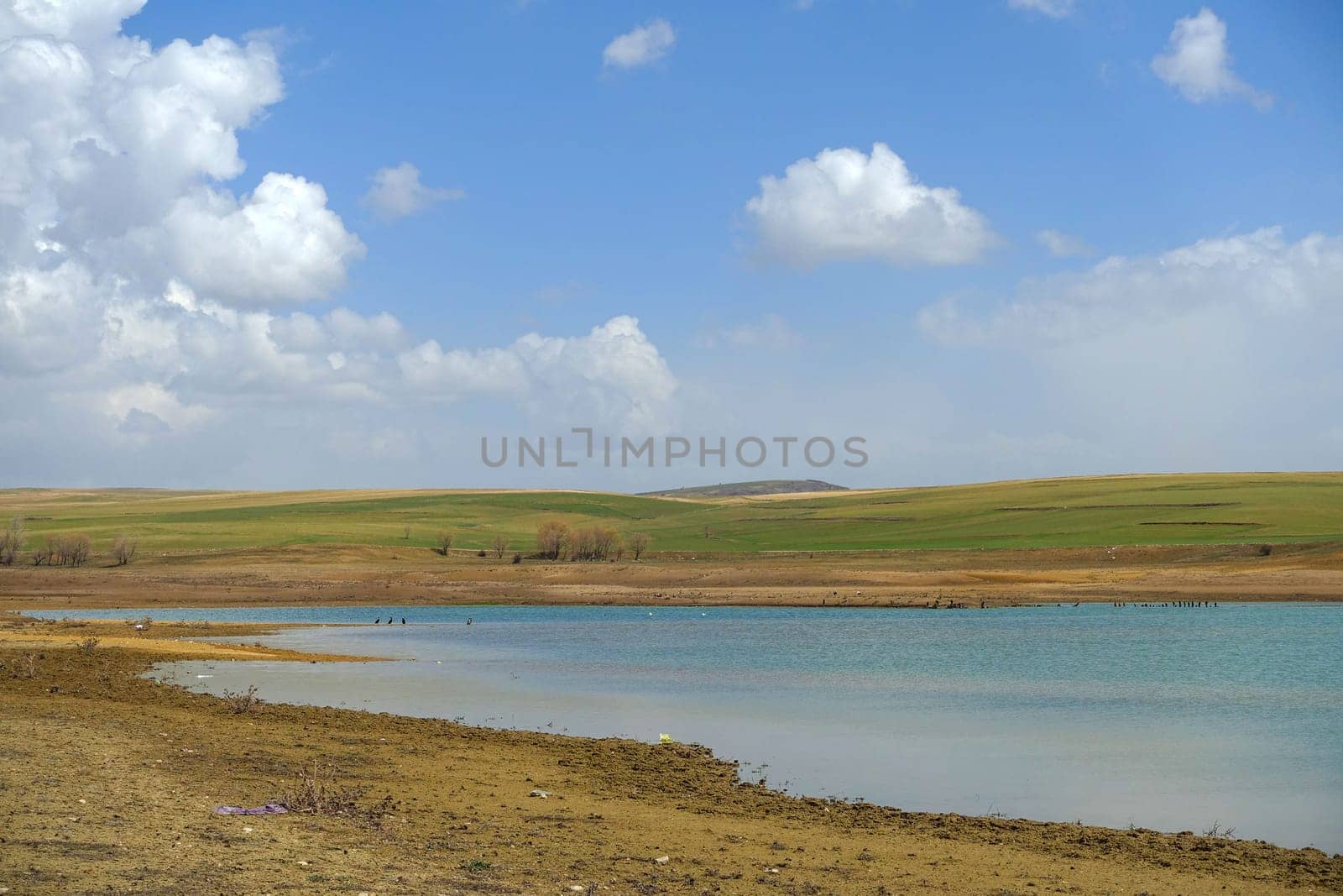 birds flying in the sky and clouds, sky and flying birds scenery, by nhatipoglu