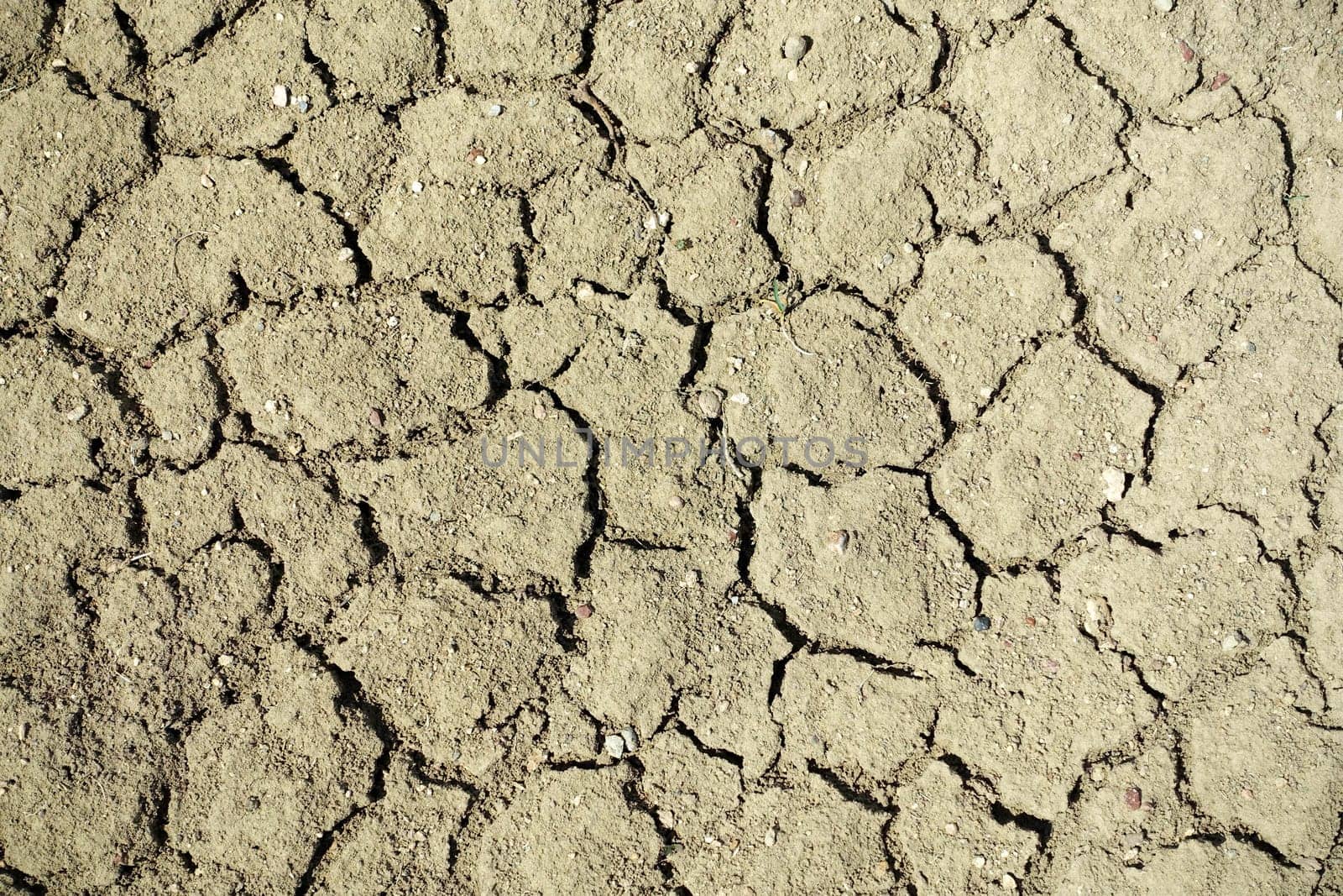 Cracking and splitting of soils due to thirst-soil erosion and drought,erosion caused by drought and desertification, by nhatipoglu